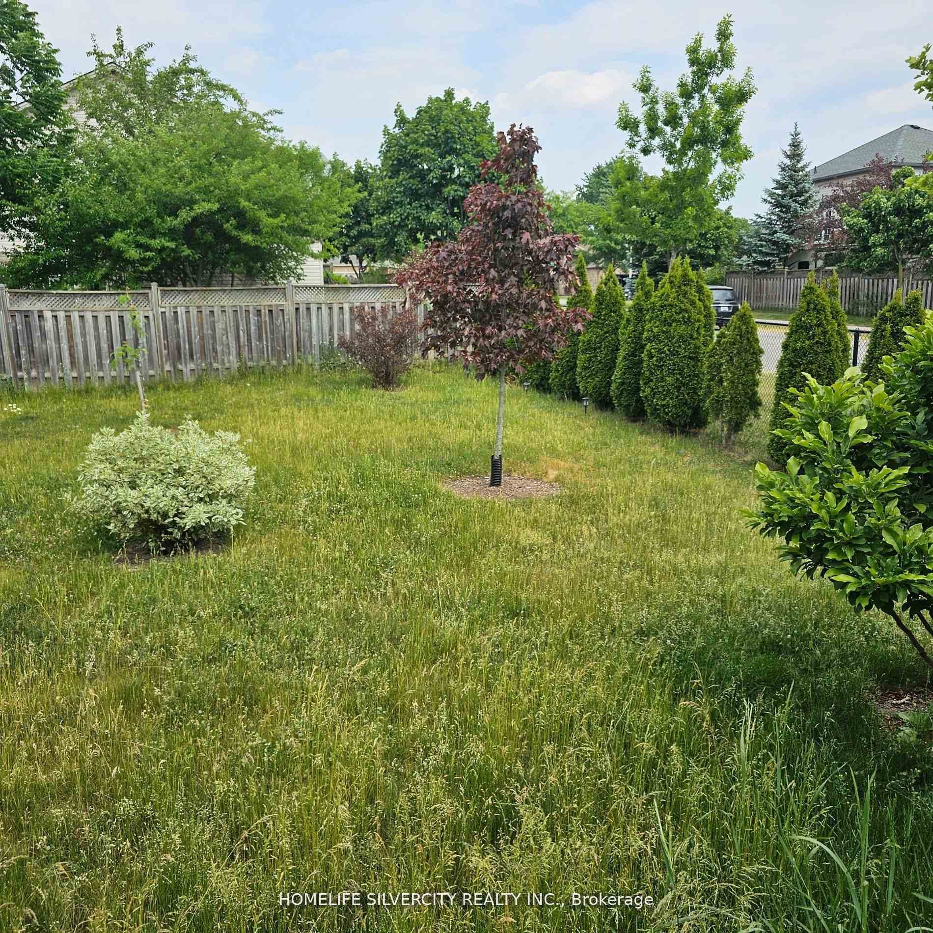 1102 Smither Road photo 26