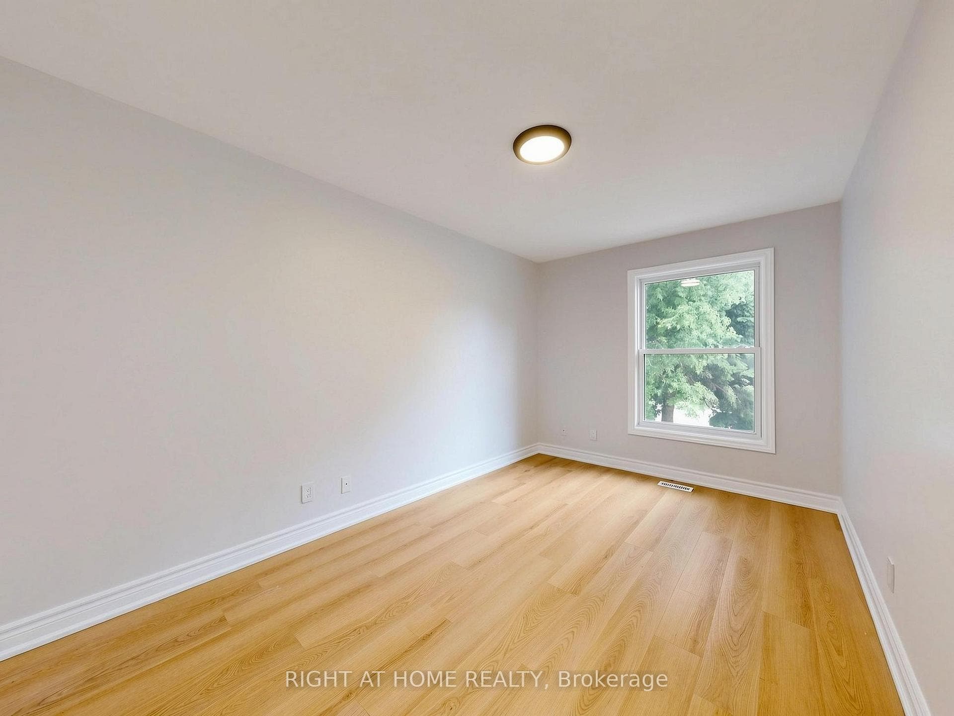 8 Caledonia Road photo 20