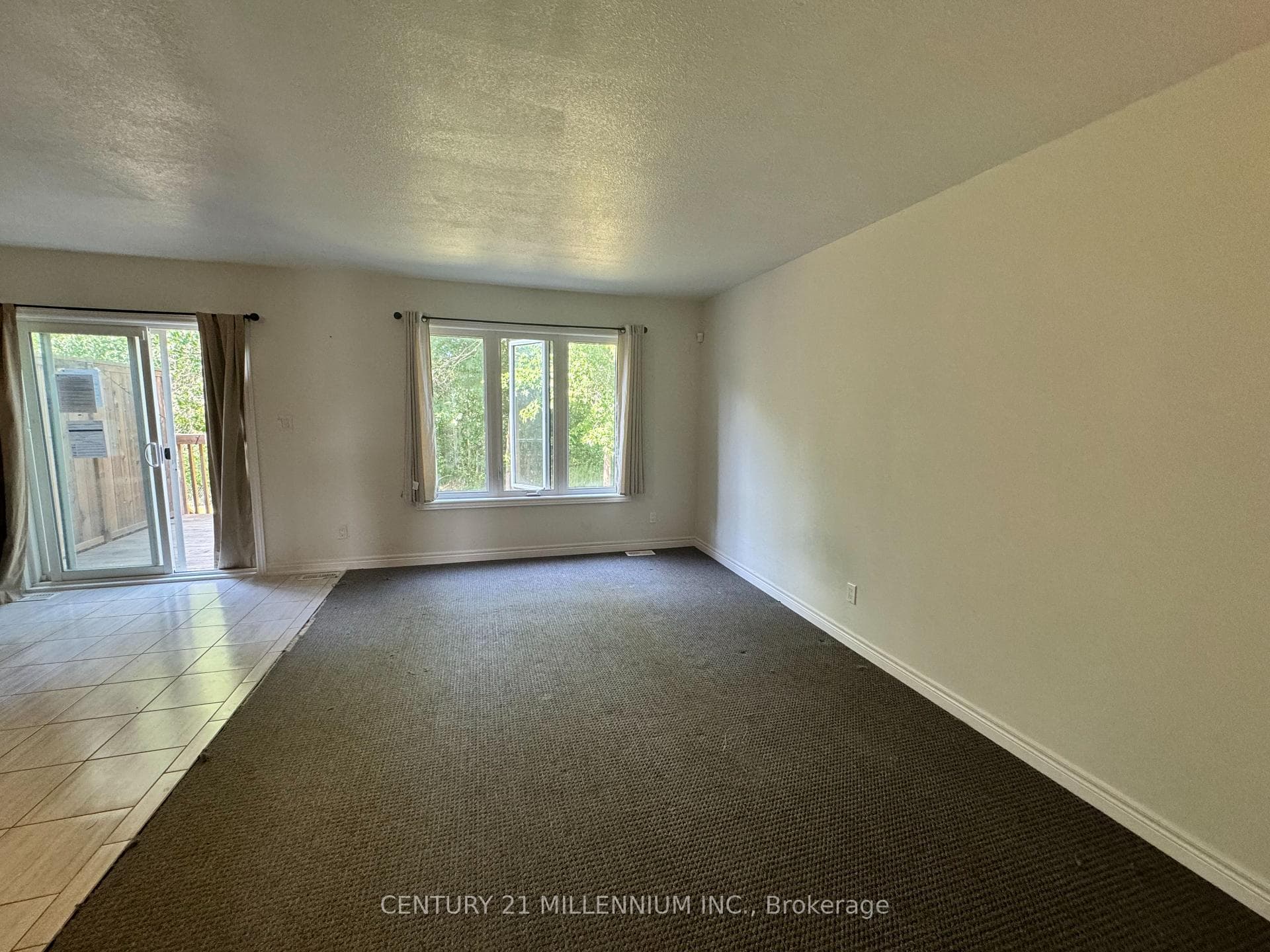 54 Haney Drive photo 5