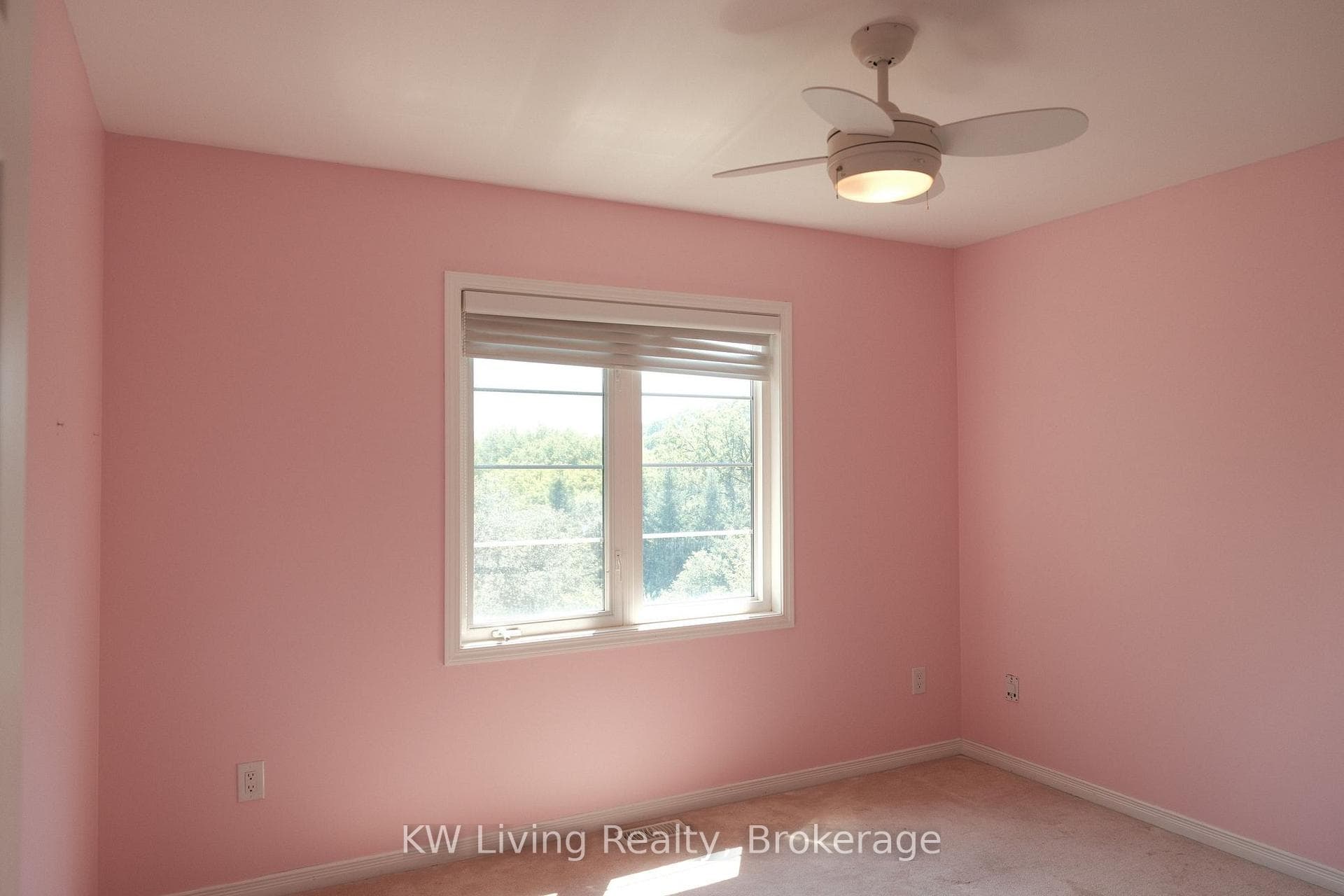 120 Chapman Court photo 29