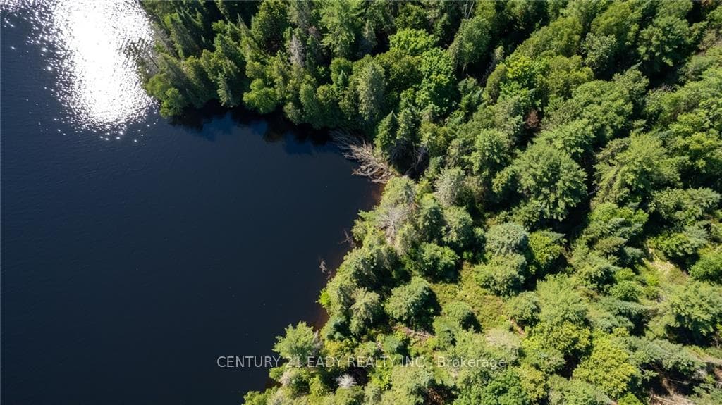 00 CENTENNIAL LAKE Road photo 18