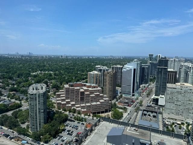North View