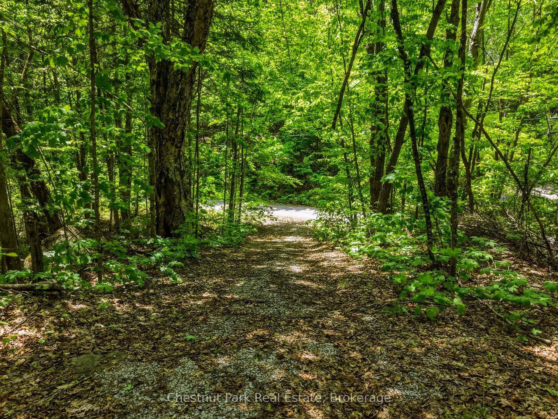 1045 North Pine Drive photo 4