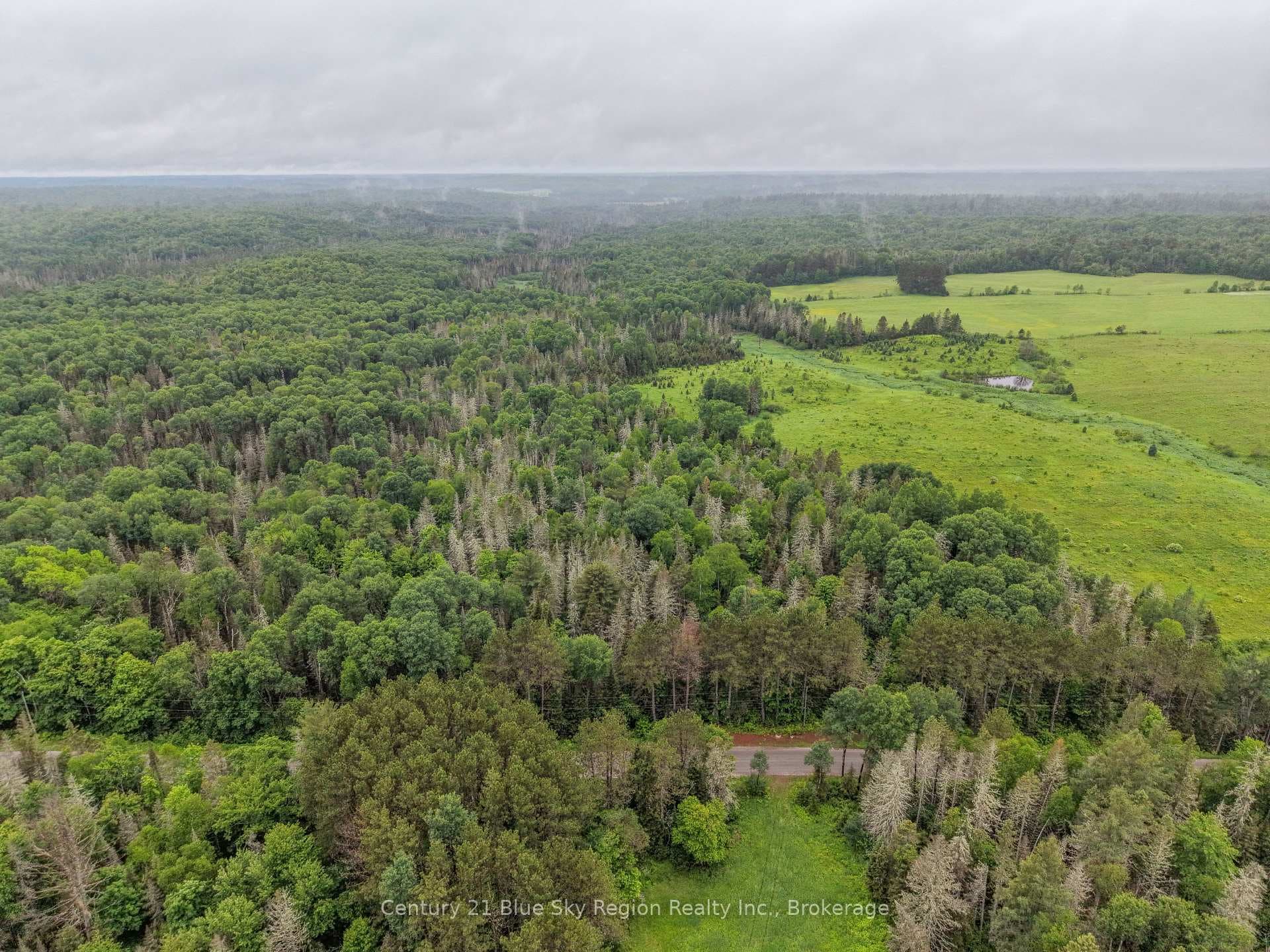 0 CON 12 PT LOT 11 Pearceley Road photo 13