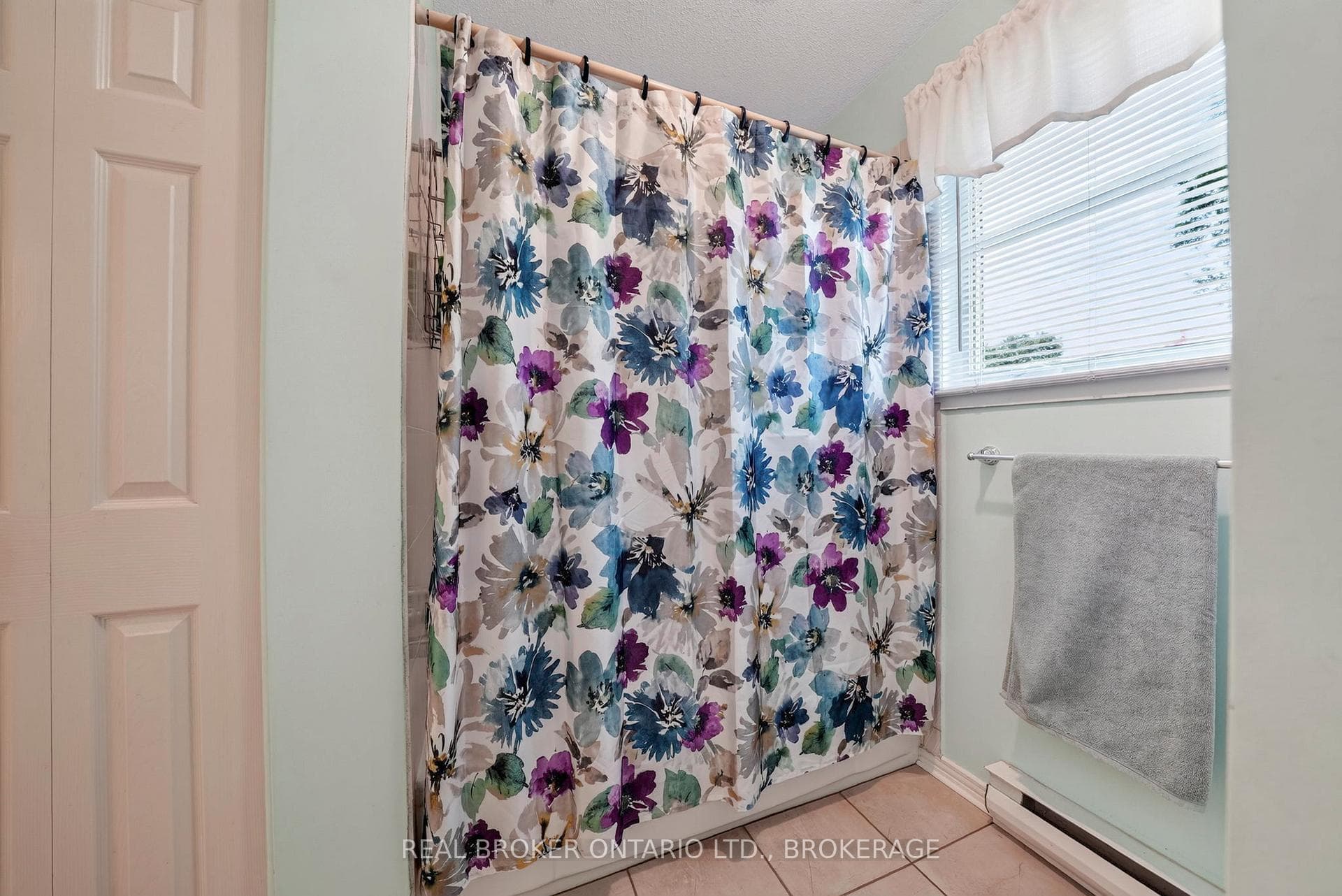 11 Albert Street photo 16