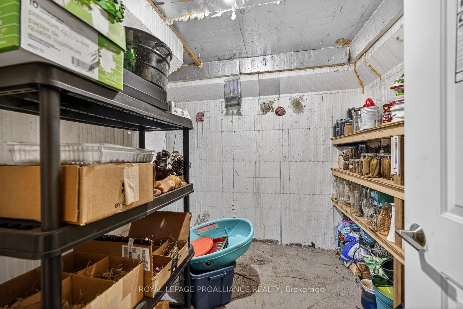 10932 Jellyby Road photo 33