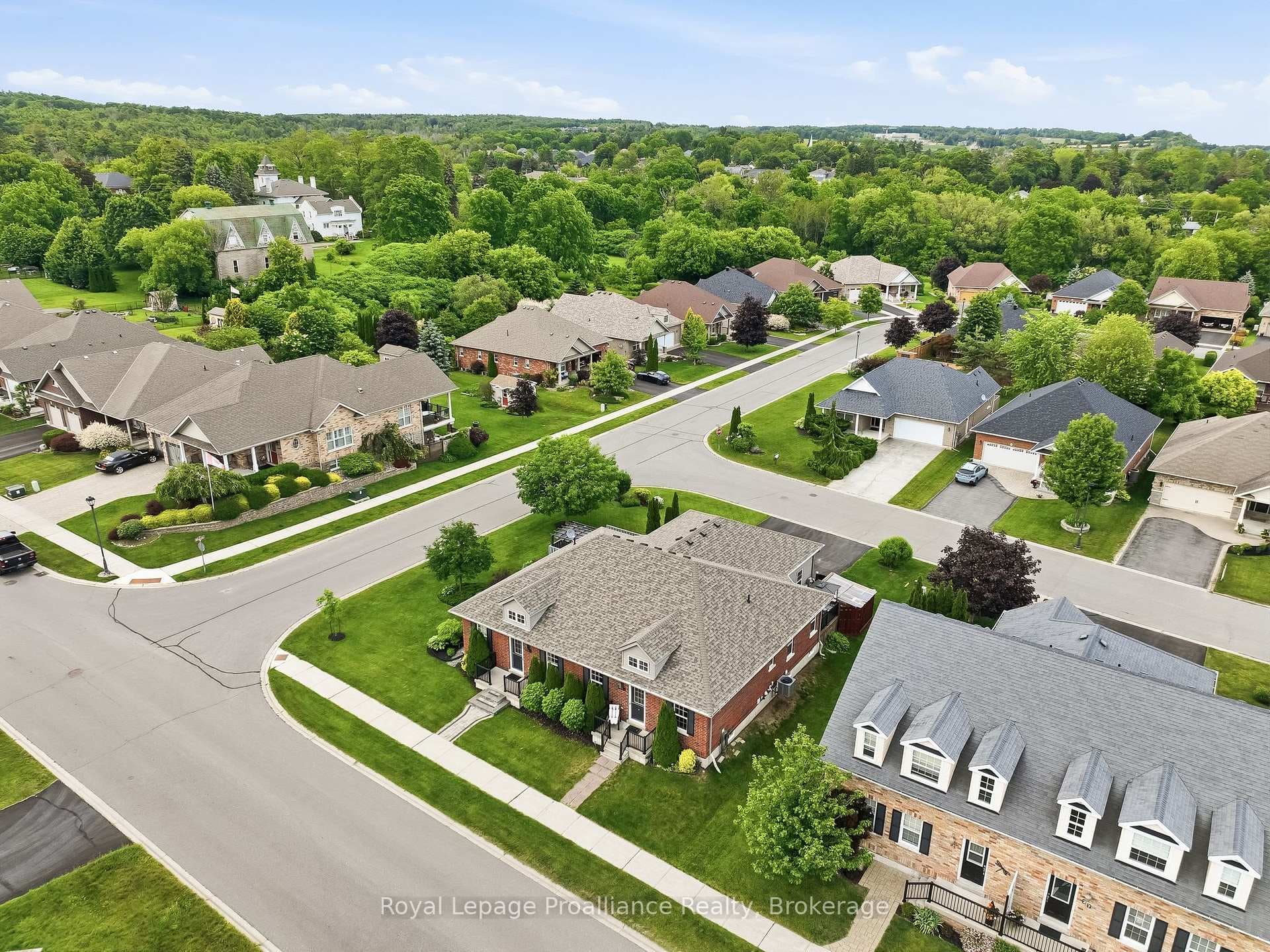 23 Empire Boulevard photo 6