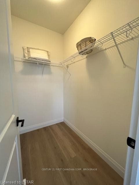 3900 SAVOY Street Unit 67 photo 17