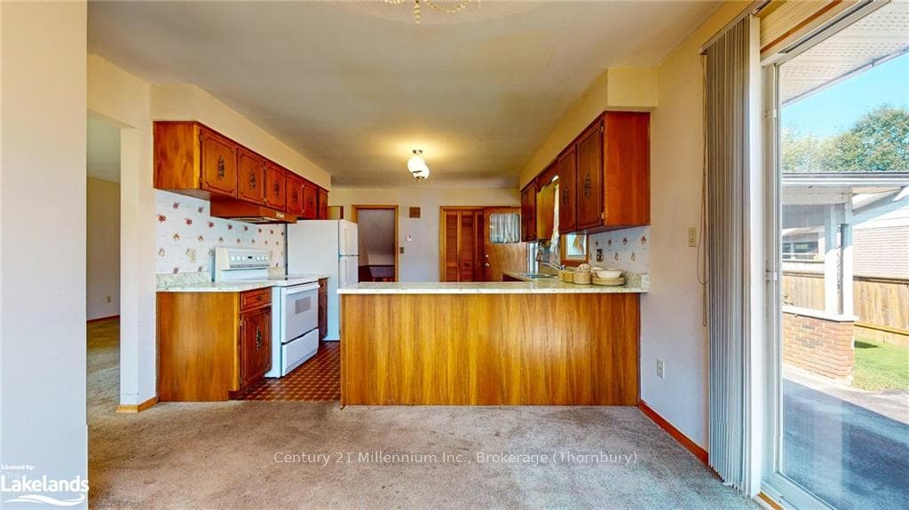 46 LOUISA Street photo 19