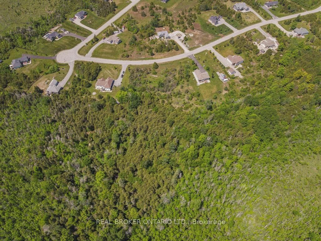 117 Colonel By Way photo 19