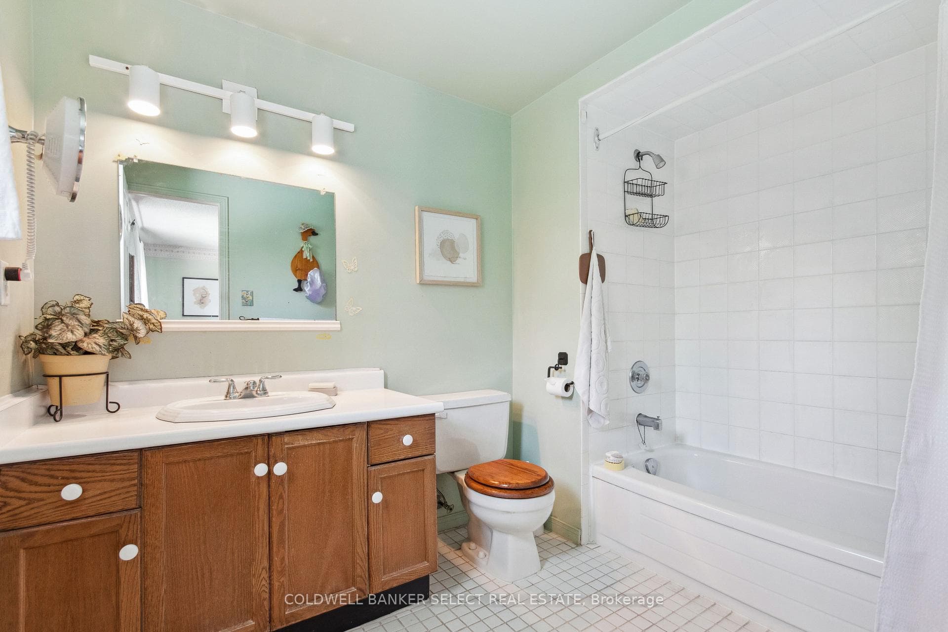 56 Seymour Drive photo 24