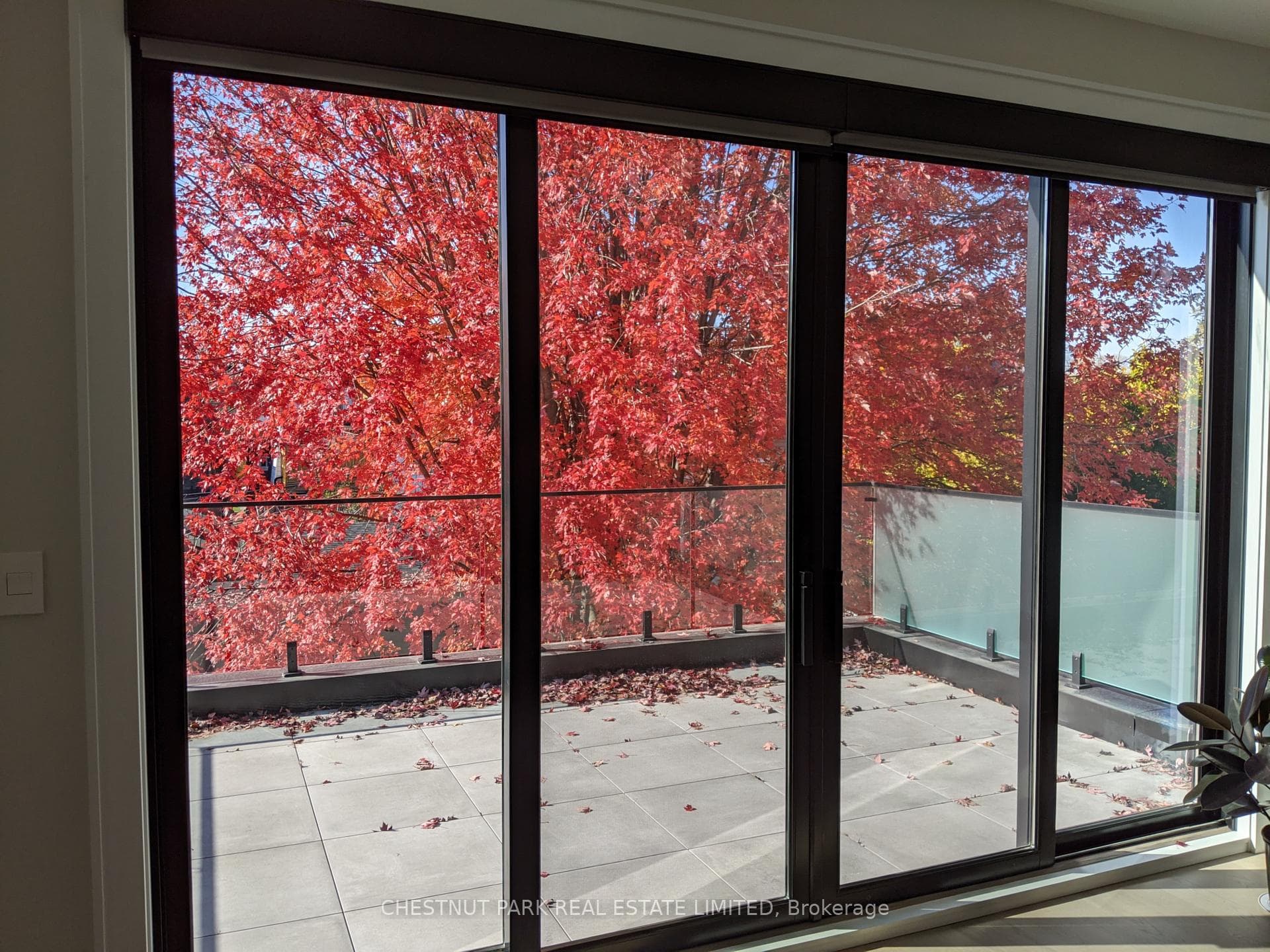 Second floor terrace fall photo