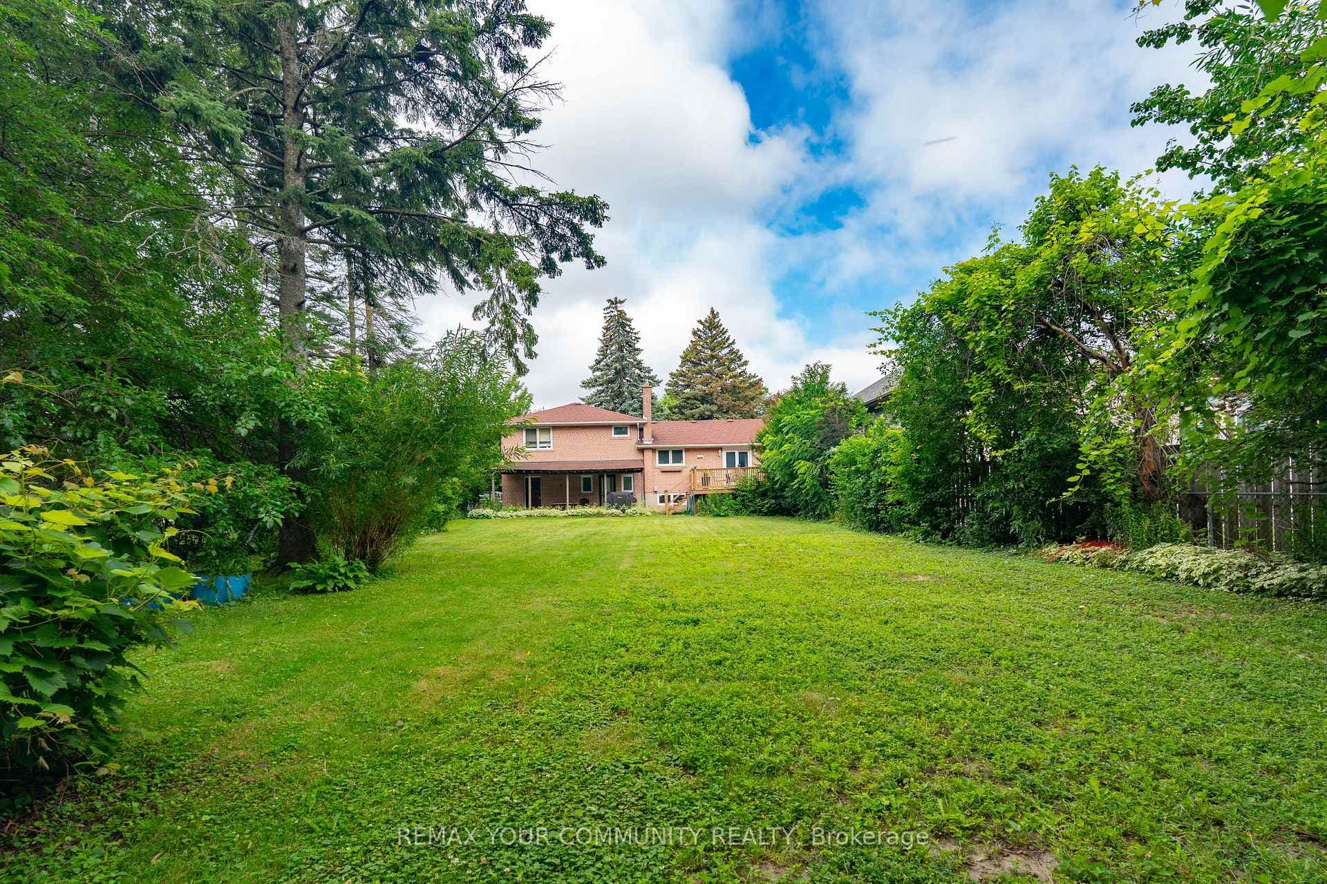 35 Netherford Road photo 19