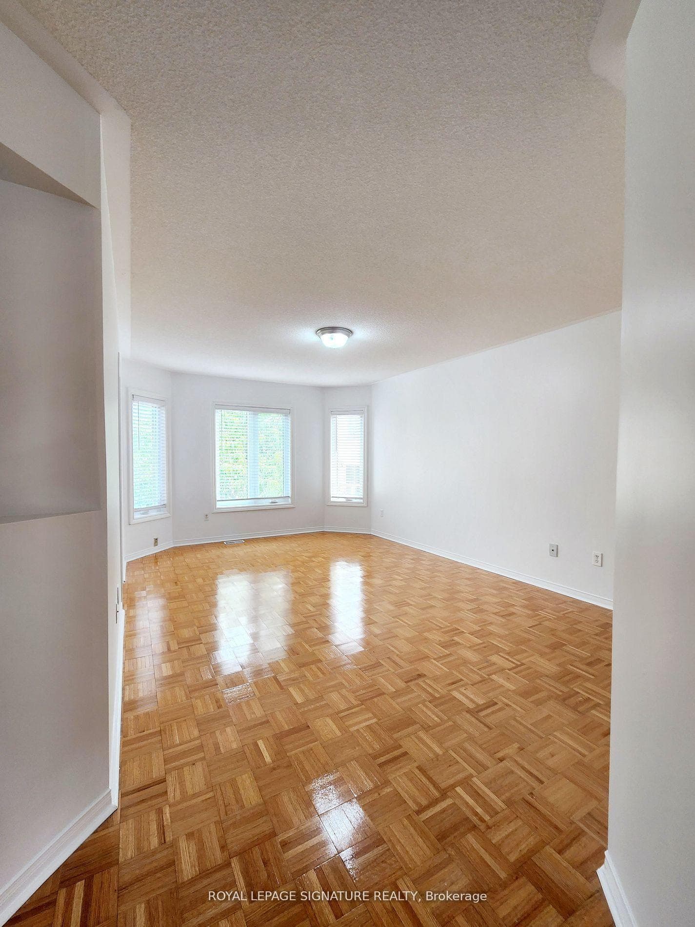 115 Blue Willow Drive photo 27