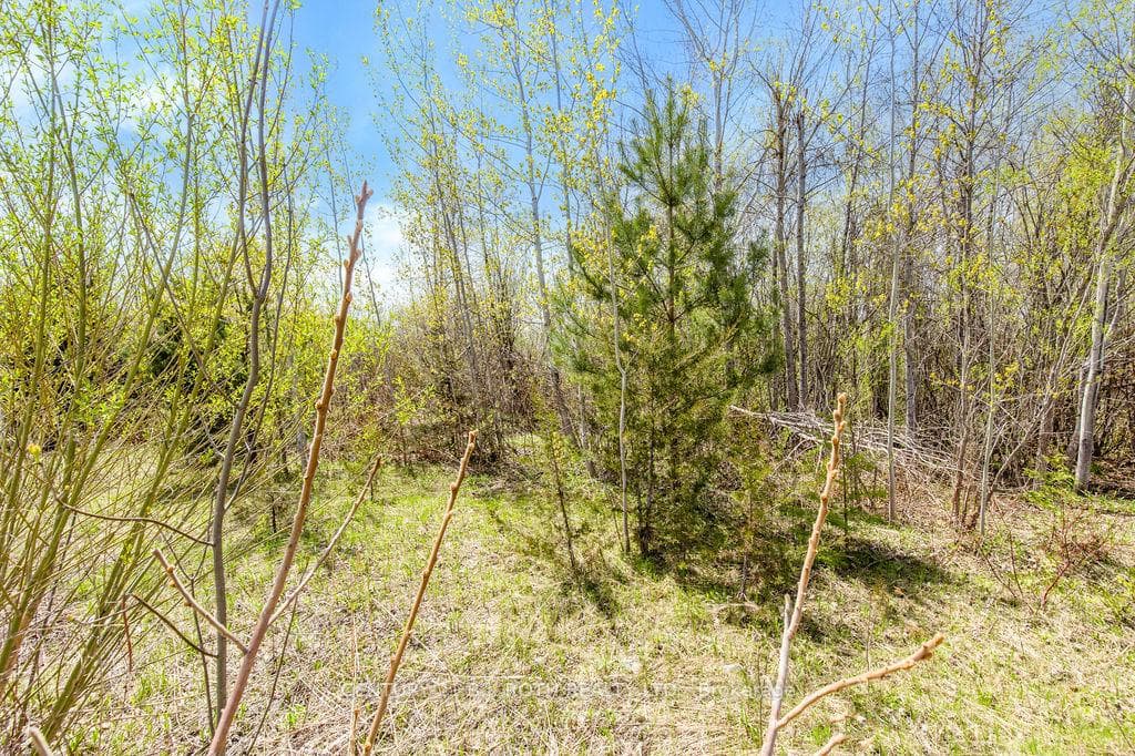15 Quarry Road photo 26