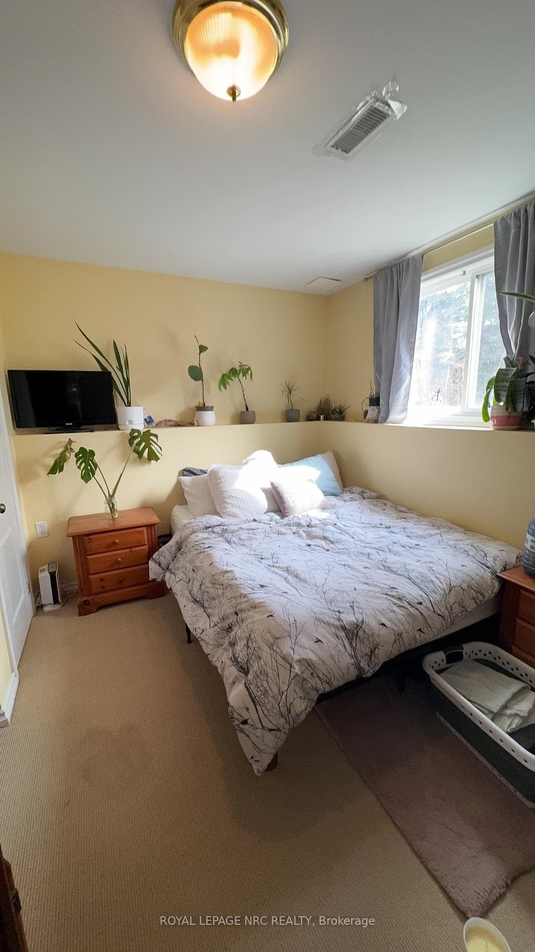 63 Jackson Court photo 19