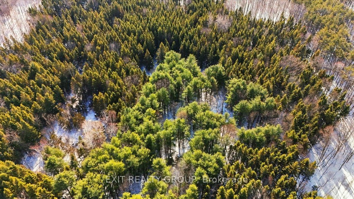Lot 19 Concession Road 2 N/A photo 9