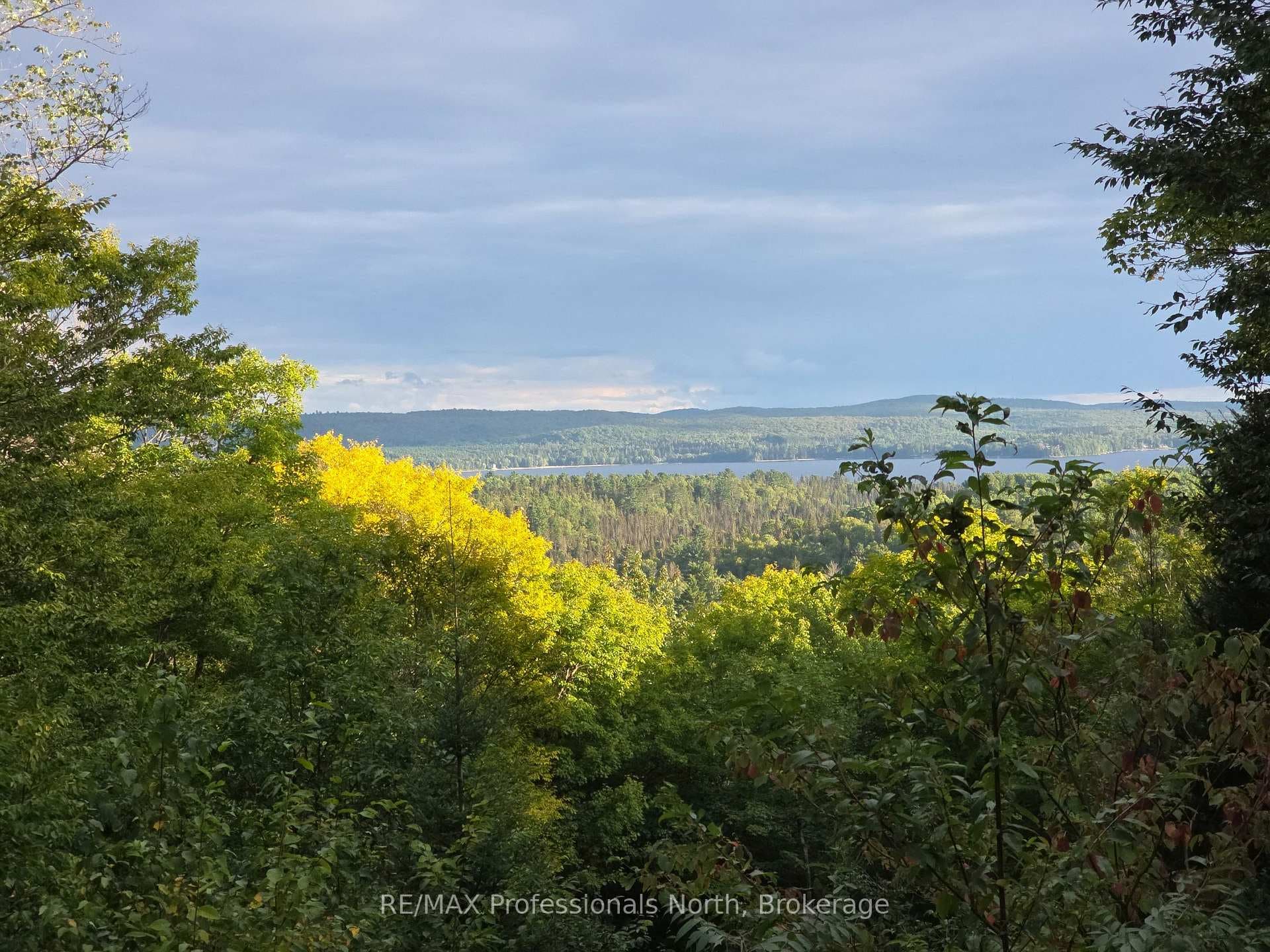 364 FORESTRY TOWER Road photo 2