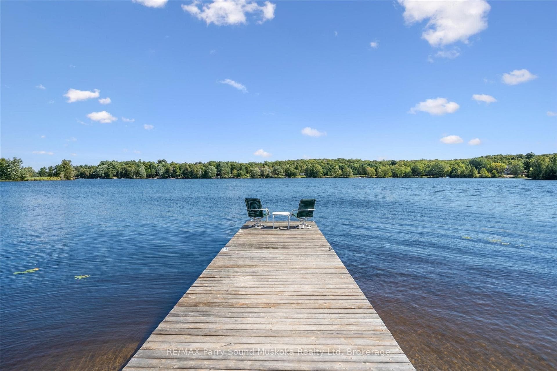 Jump off the Dock!