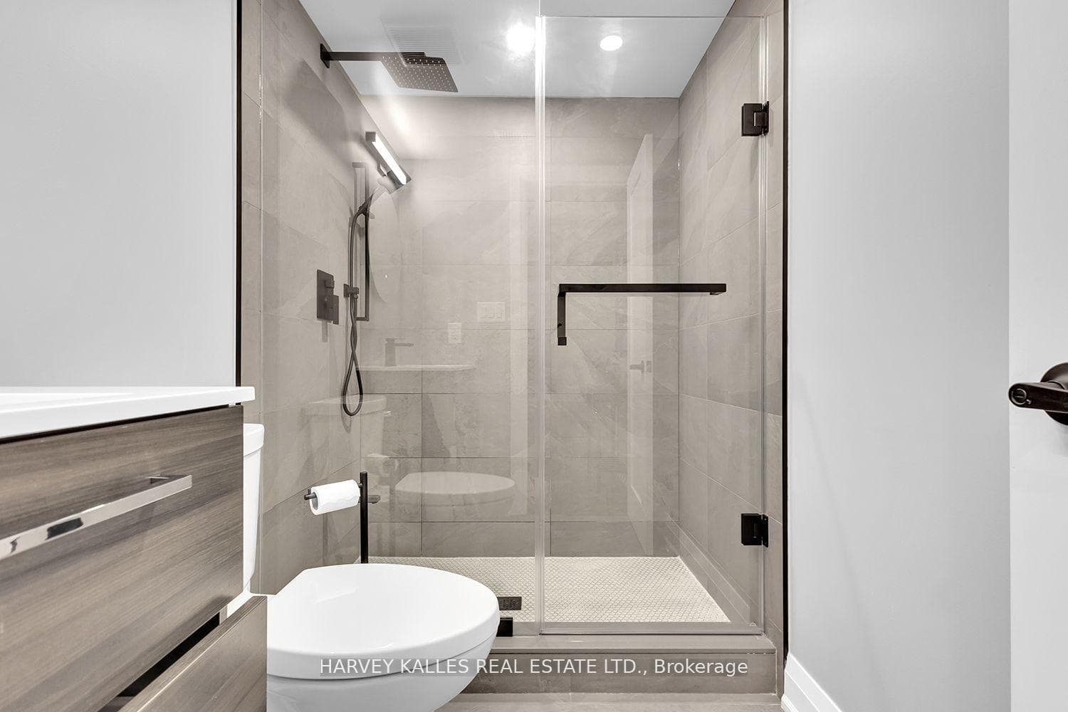 Lower Level Bathroom