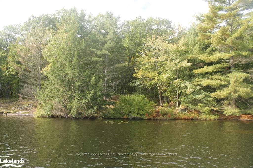 1039 SNIDERS BAY Road photo 18