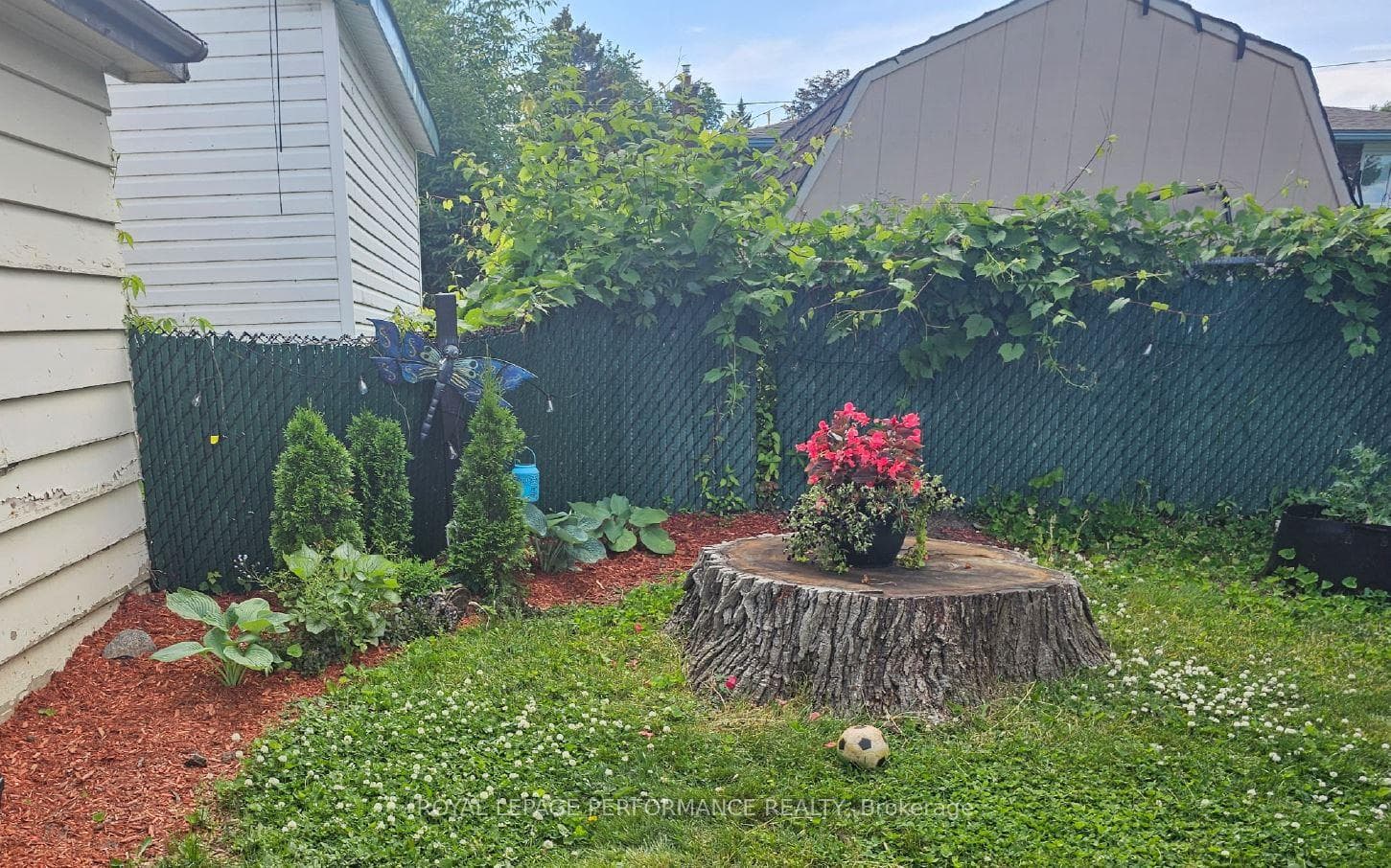 209 Anthony Street photo 30