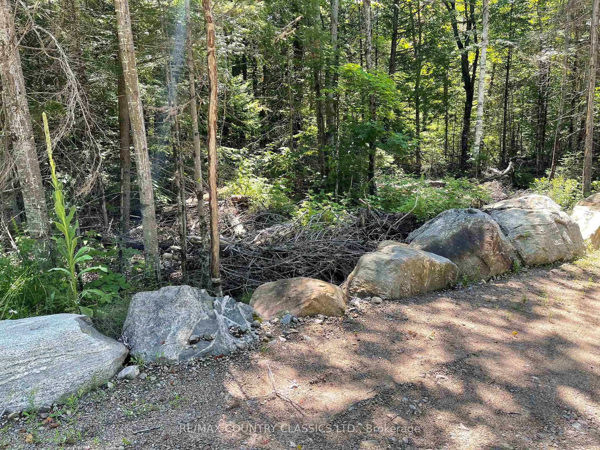 001 O'Grady Settlement Road photo 3