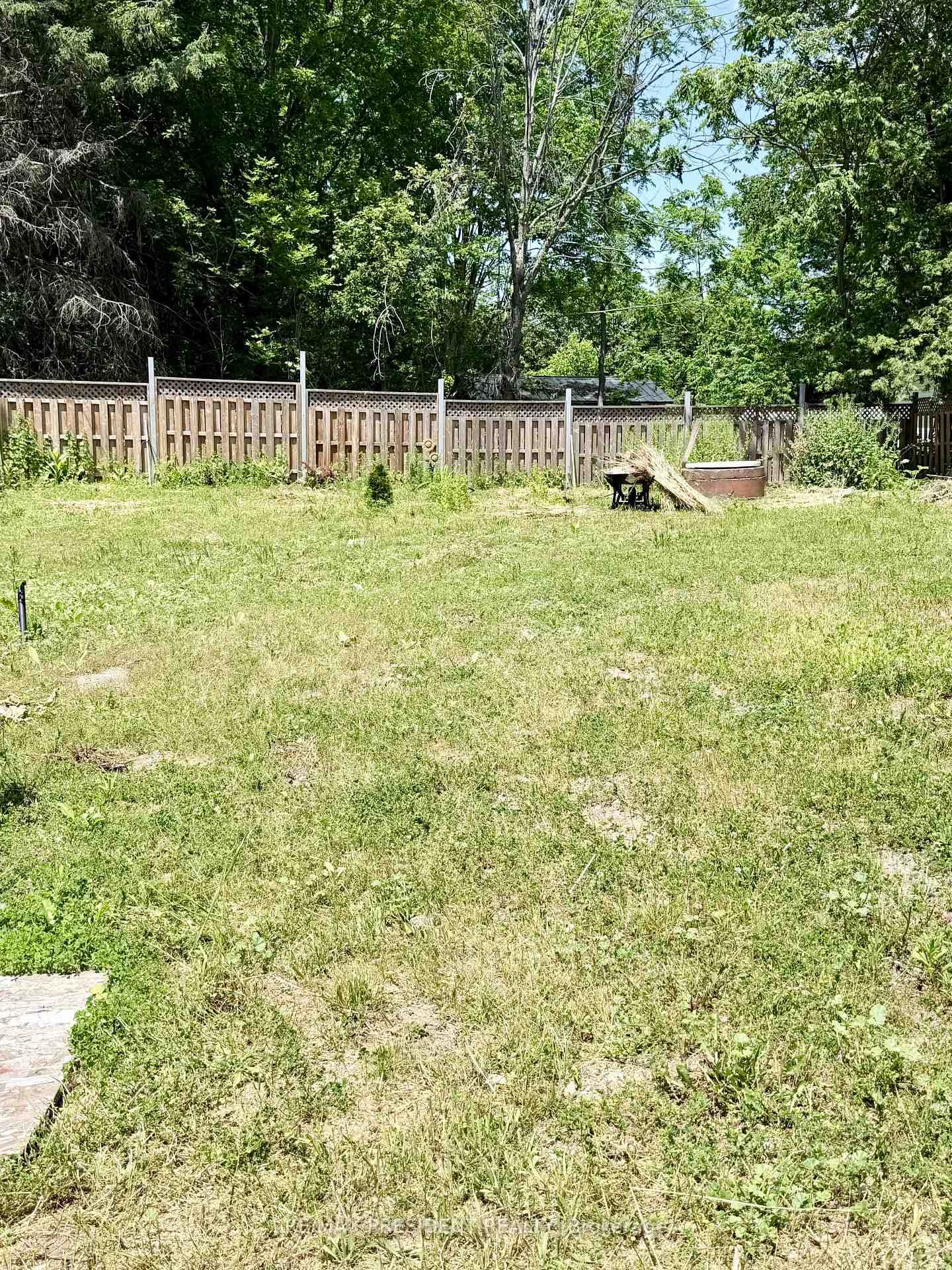 126 Mill Street photo 13