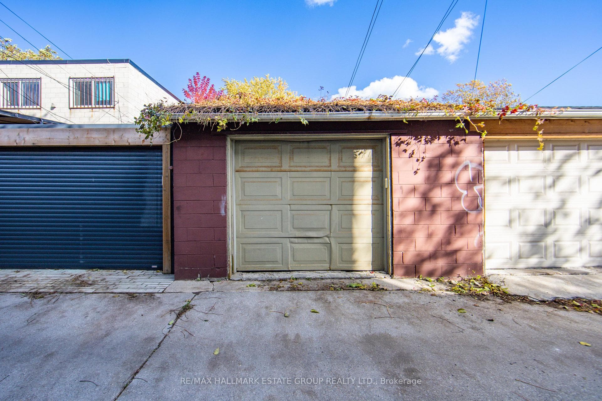 50 Logan Avenue photo 39