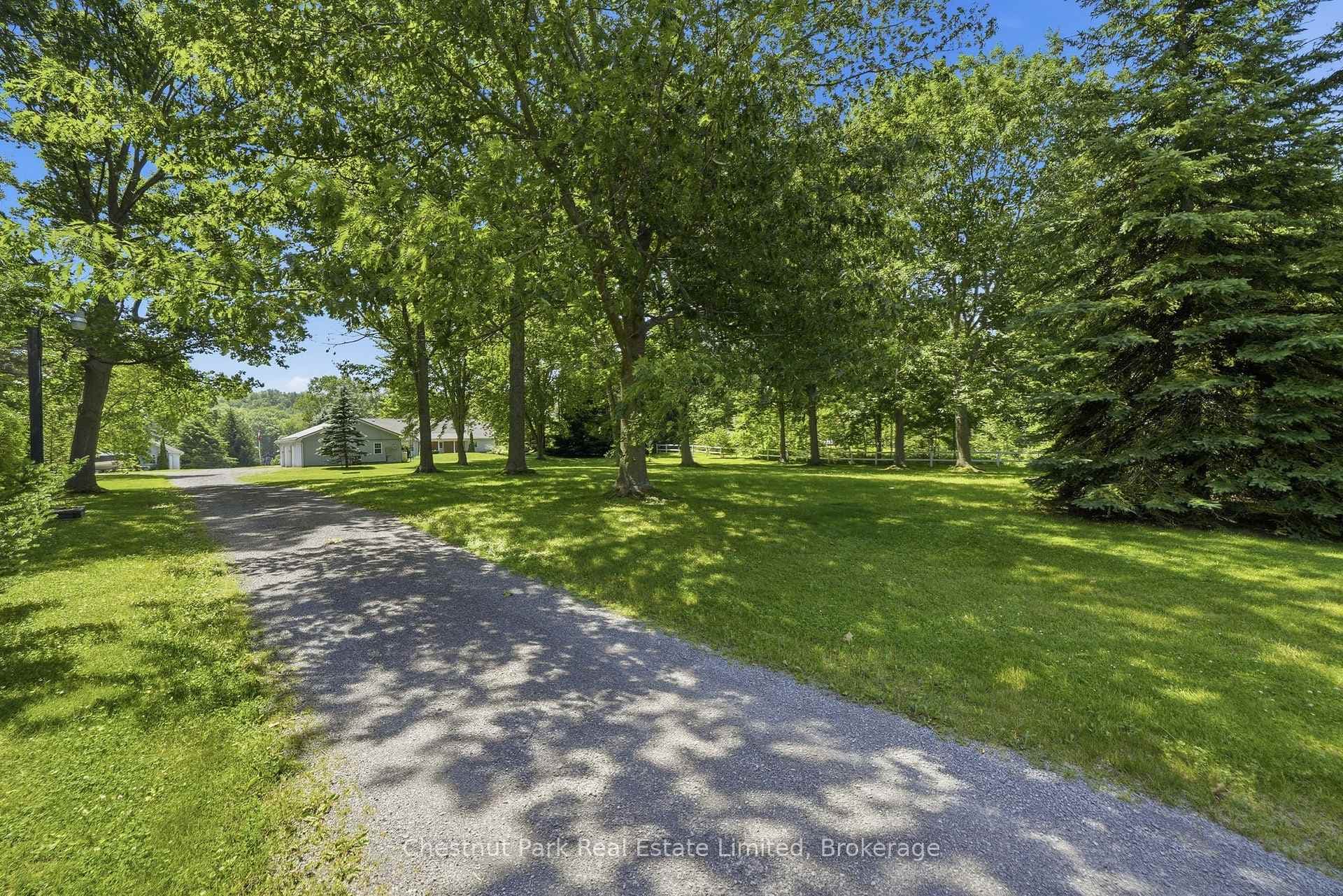 42 Morrison Point Road photo 4