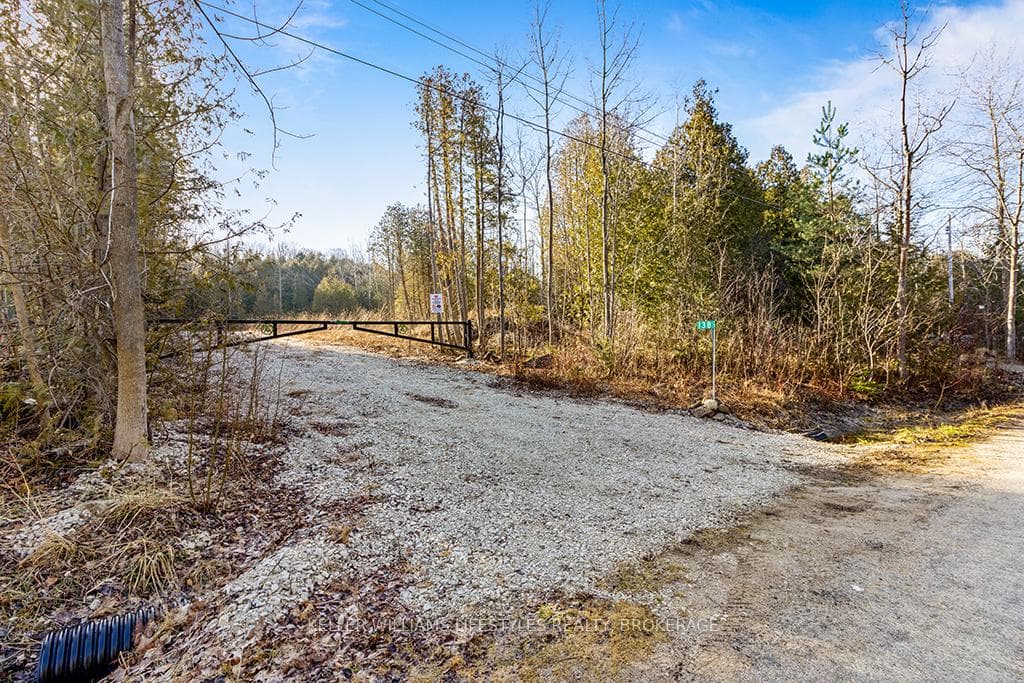 138 WILSON Drive photo 17