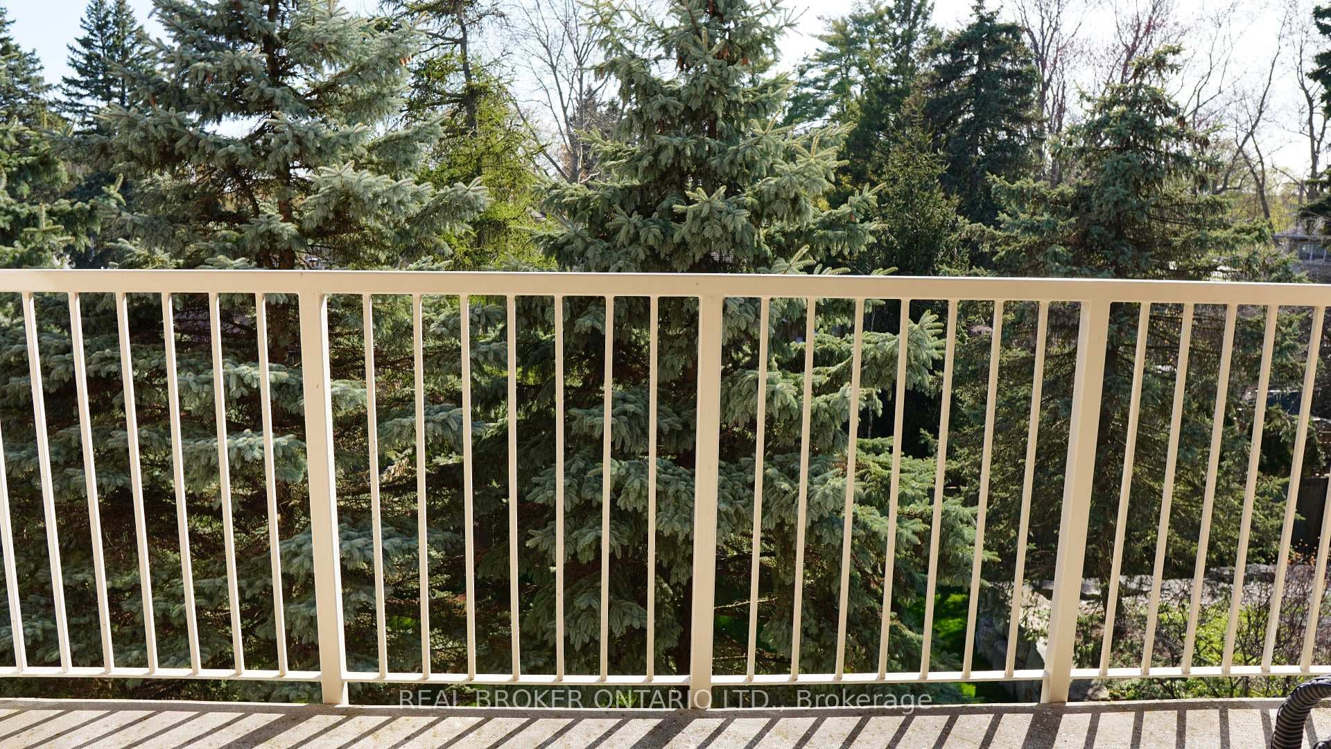 216 Plains Road Unit B309 photo 36
