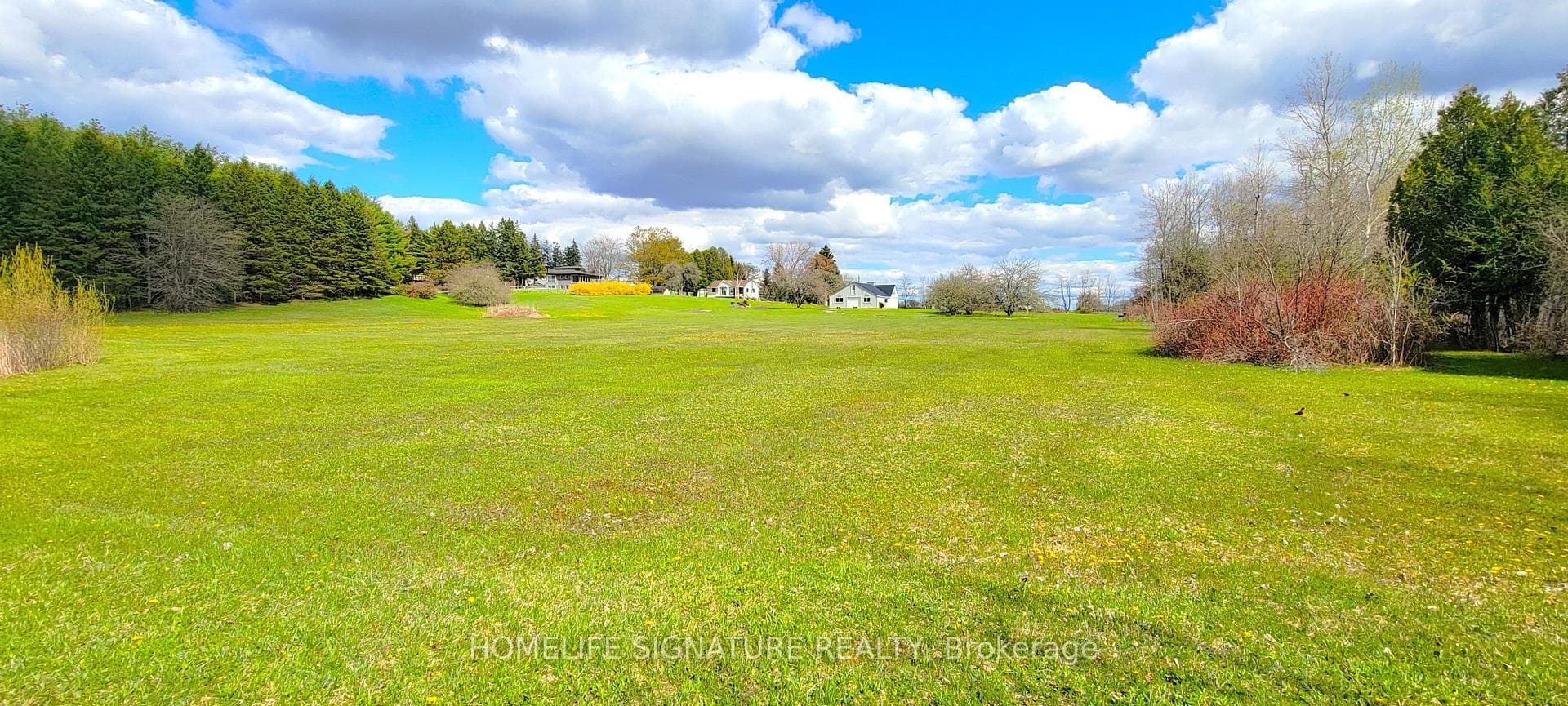 5273 25 Side Road photo 6