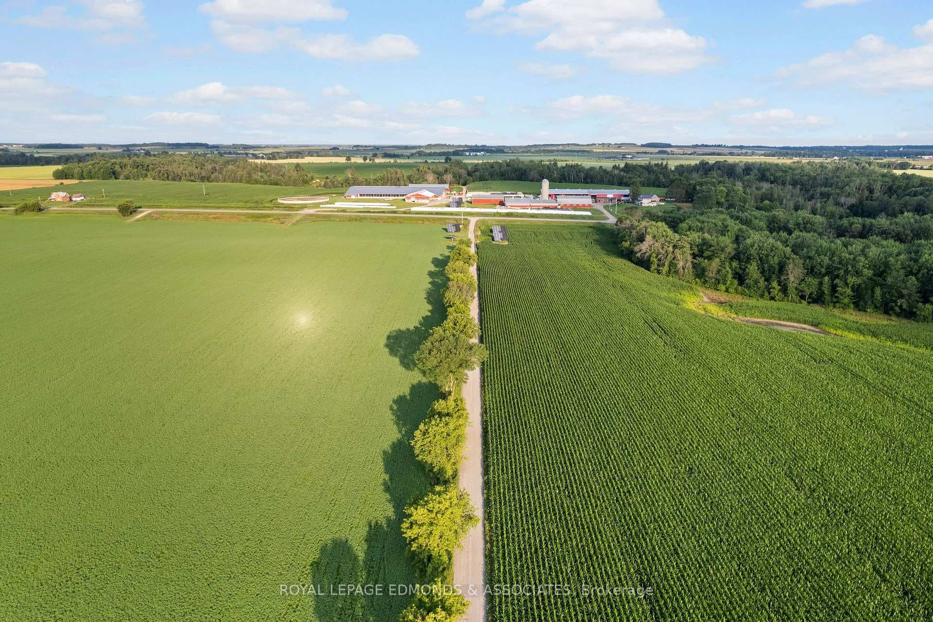 107 Purple Finch Trail photo 13