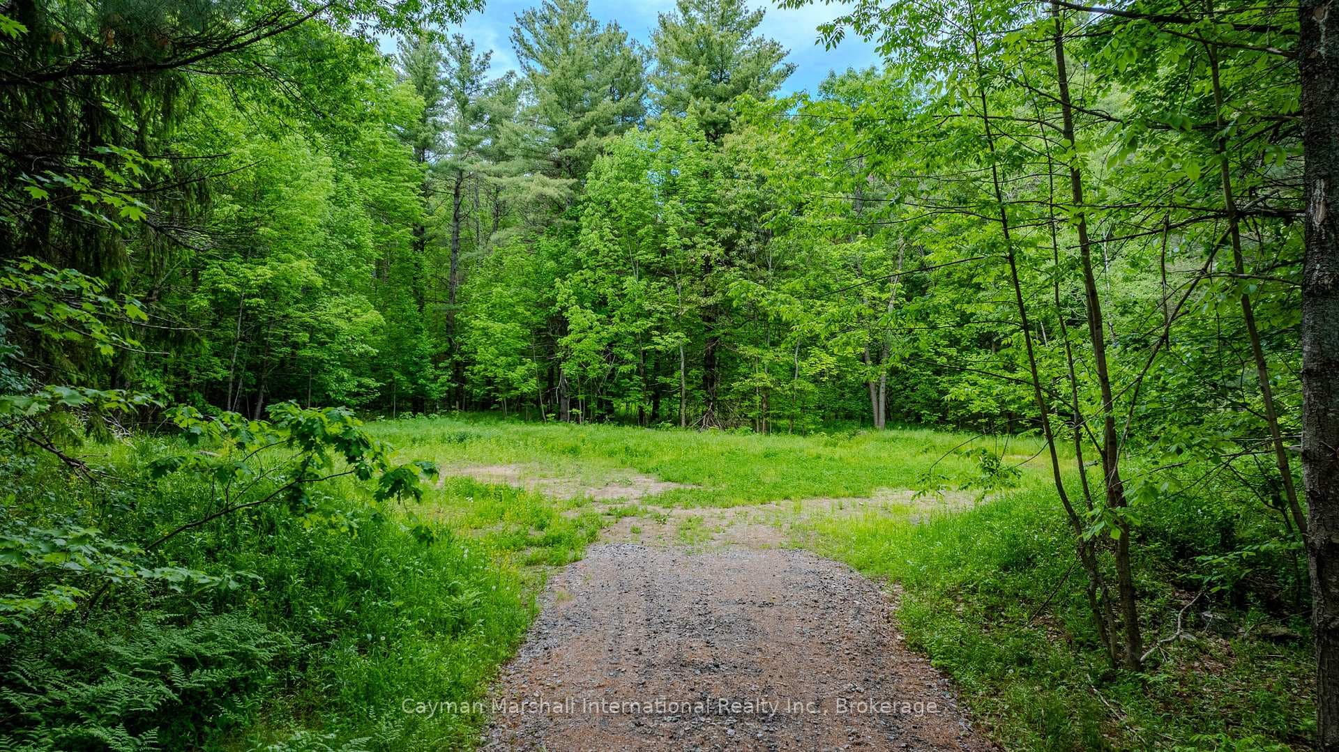 2682 Muskoka District 118 Road photo 9