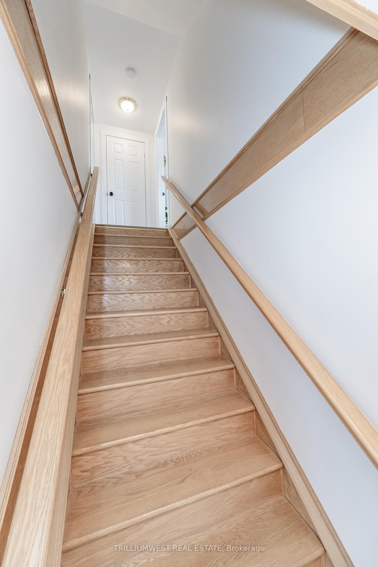 2 Morton Avenue photo 18