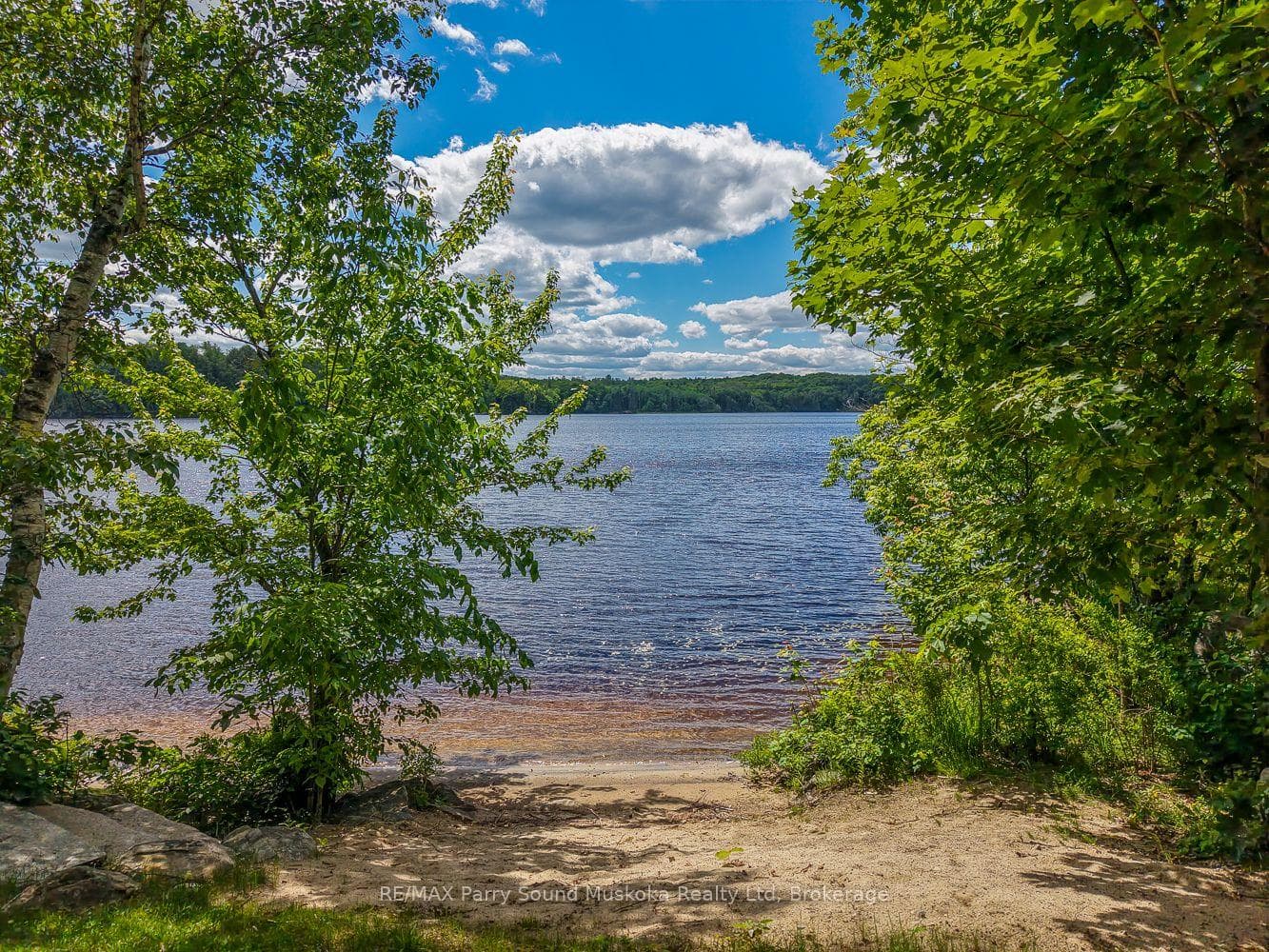 54 Dauncey Road photo 47