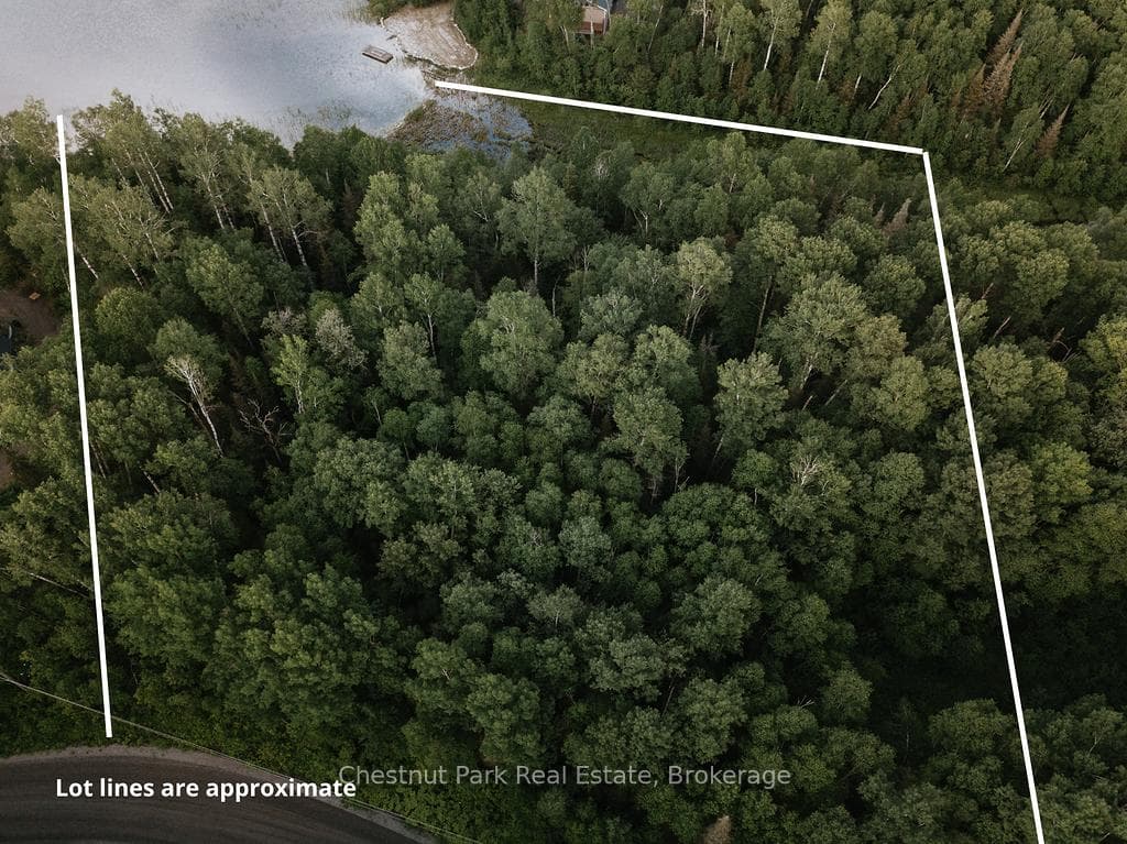 447 Fox Run photo 17