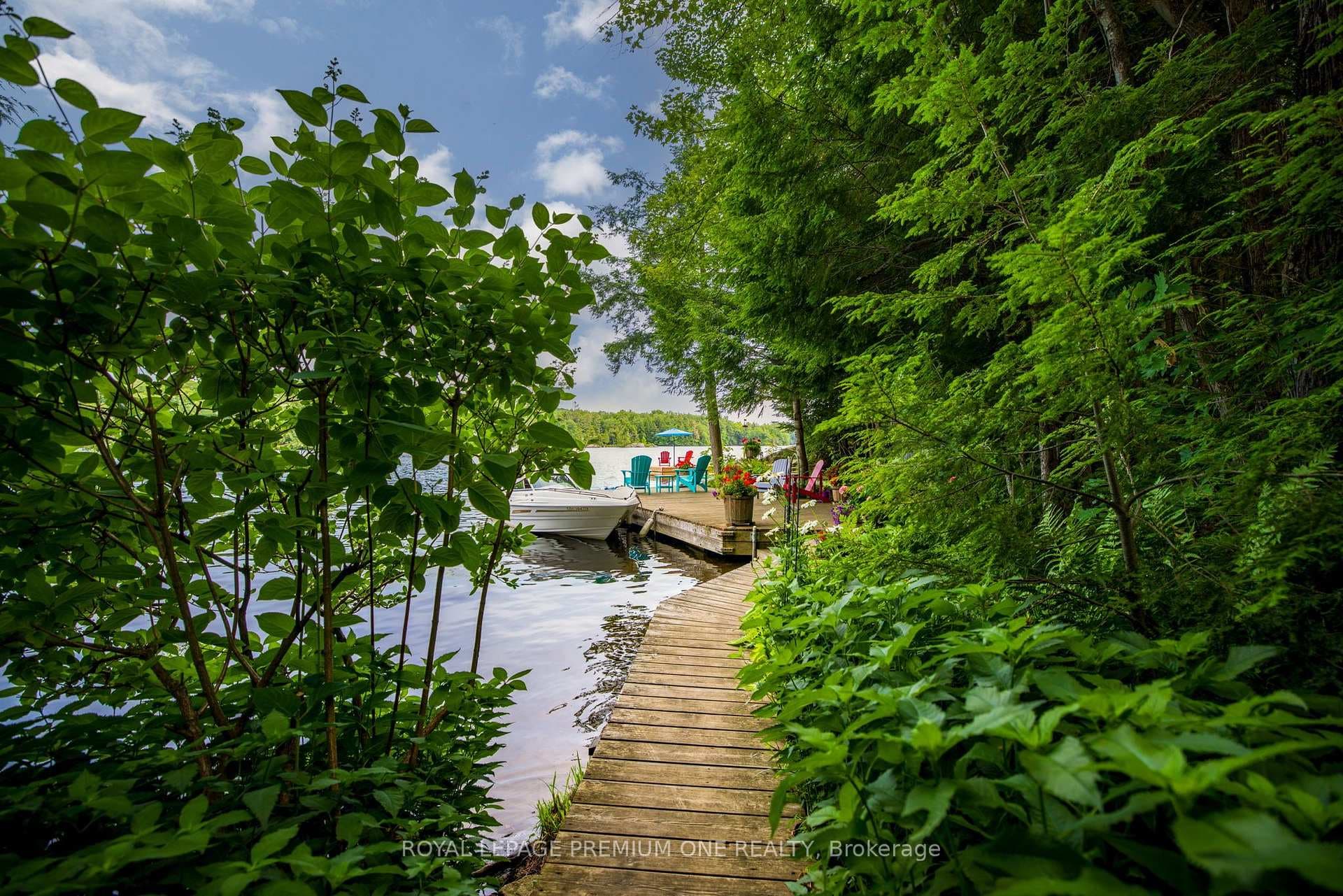 219 Crane Lake Water N/A photo 11