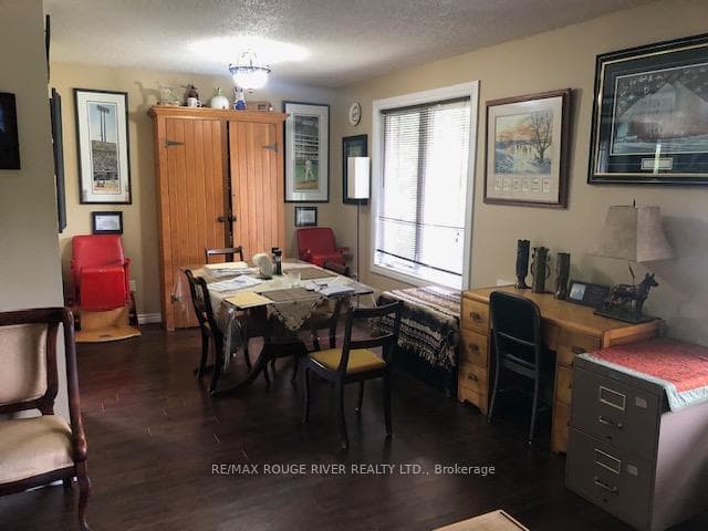 10 Marion Drive photo 7