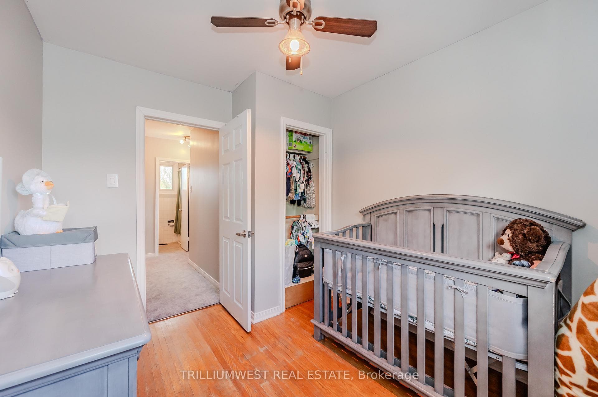 152 Donald Street photo 21