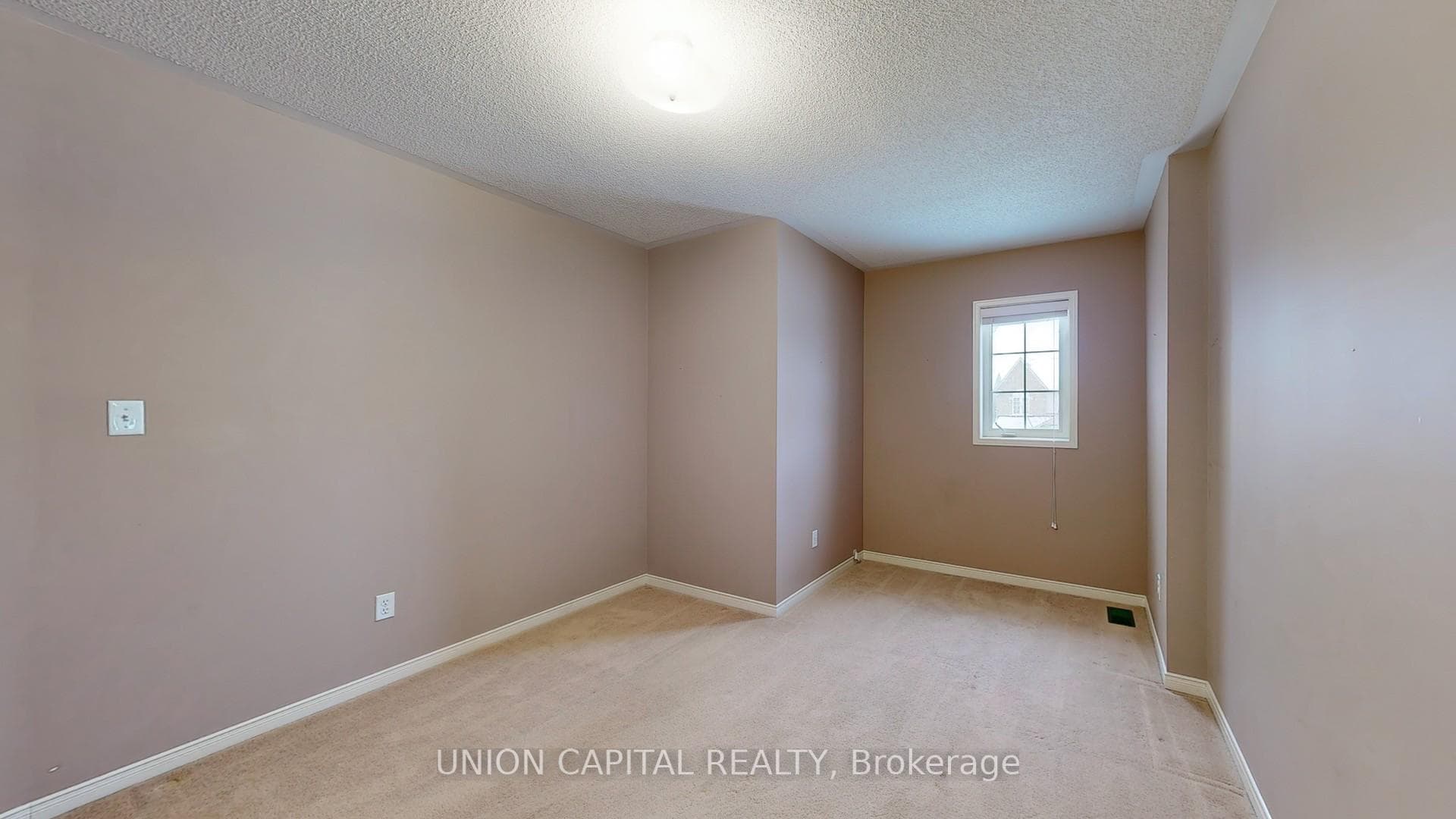 731 Brasswinds Trail photo 13