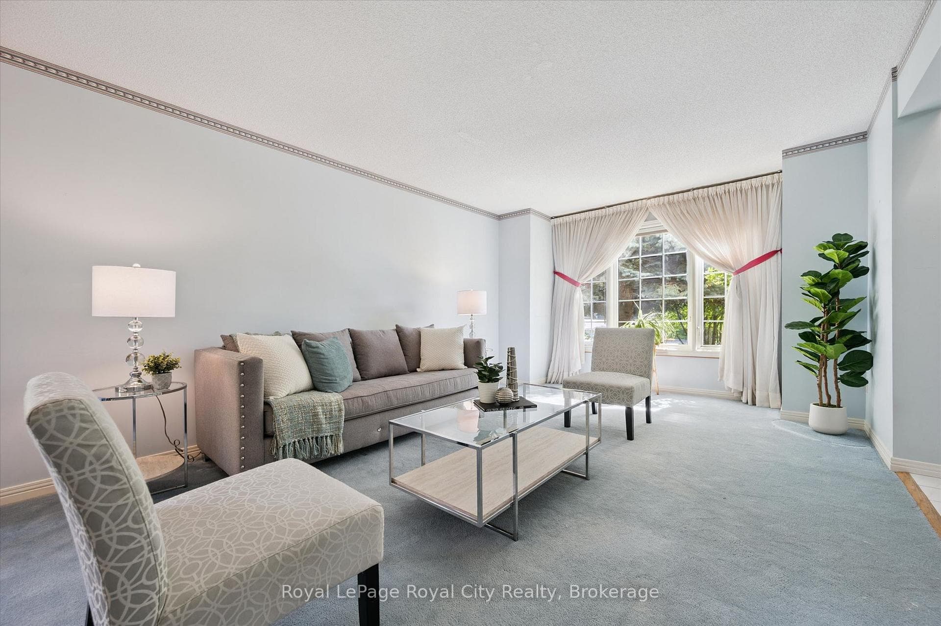 539 Harvey Street photo 5