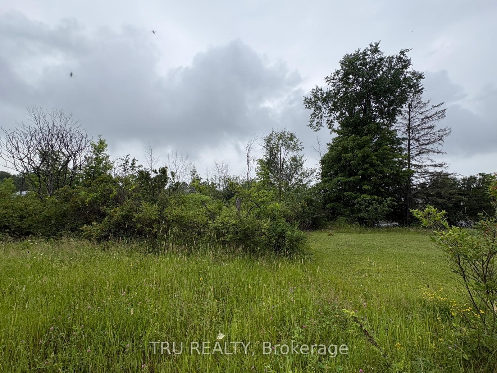 3024 Stoneridge Road photo 11