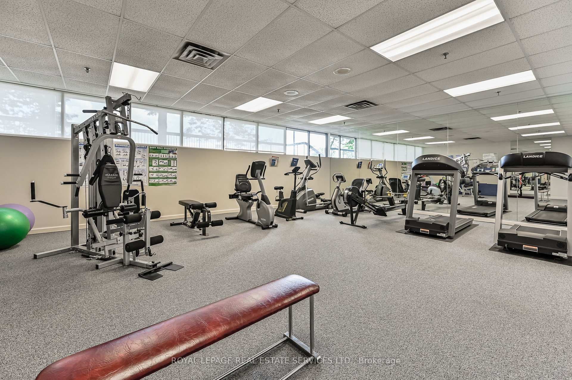 Gym