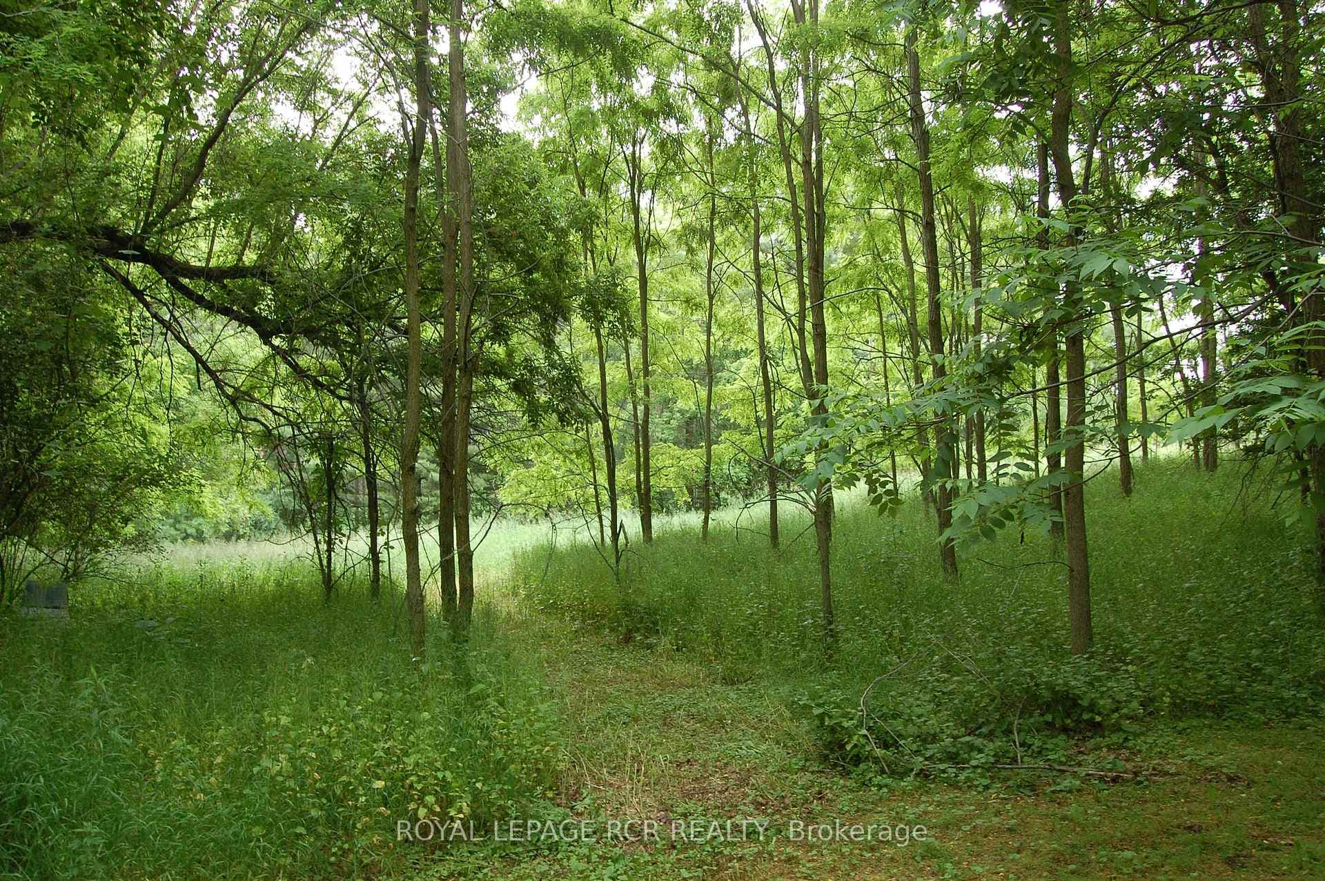 954293 7th Line photo 27