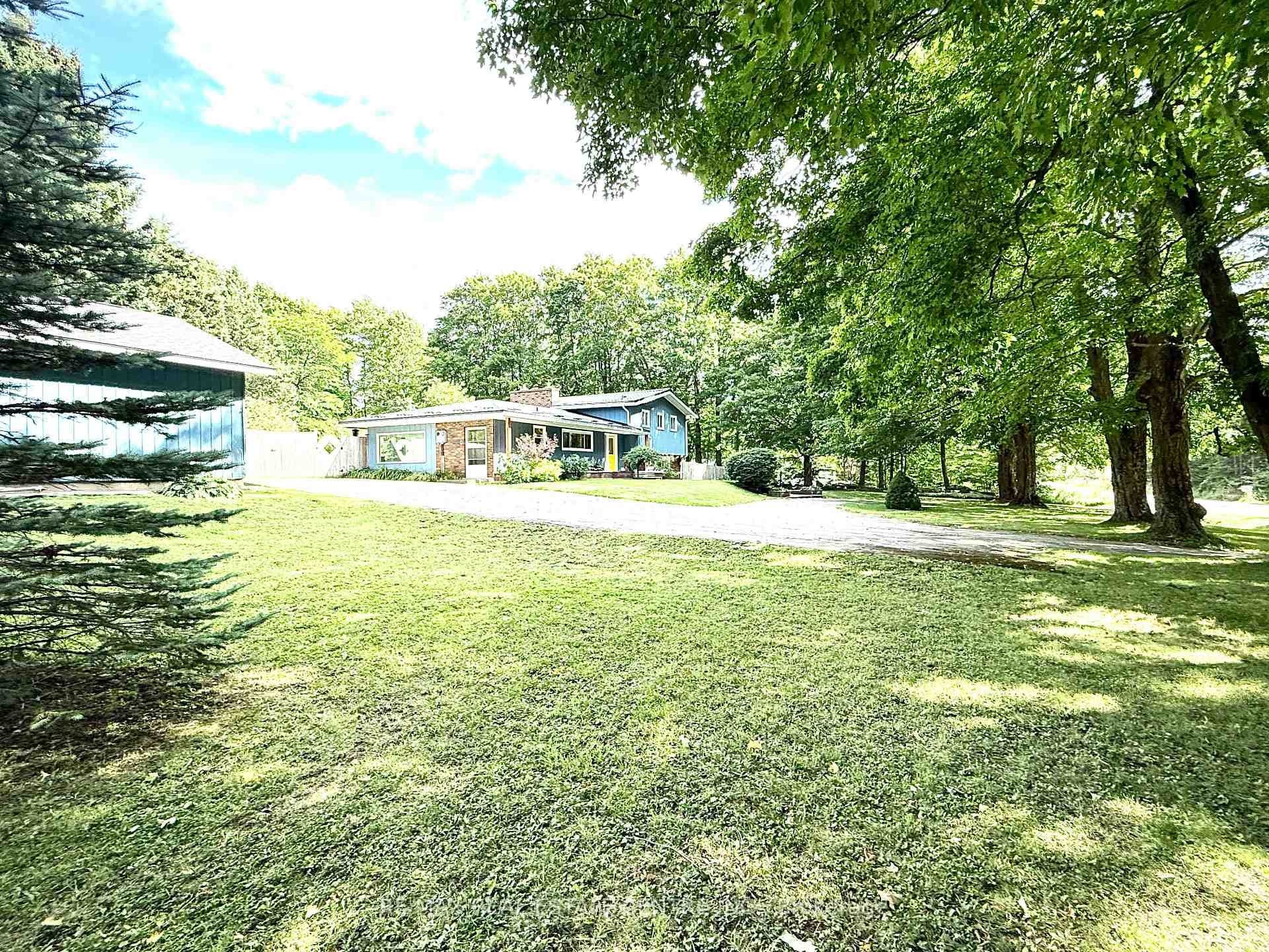 161 Inkerman Street photo 7