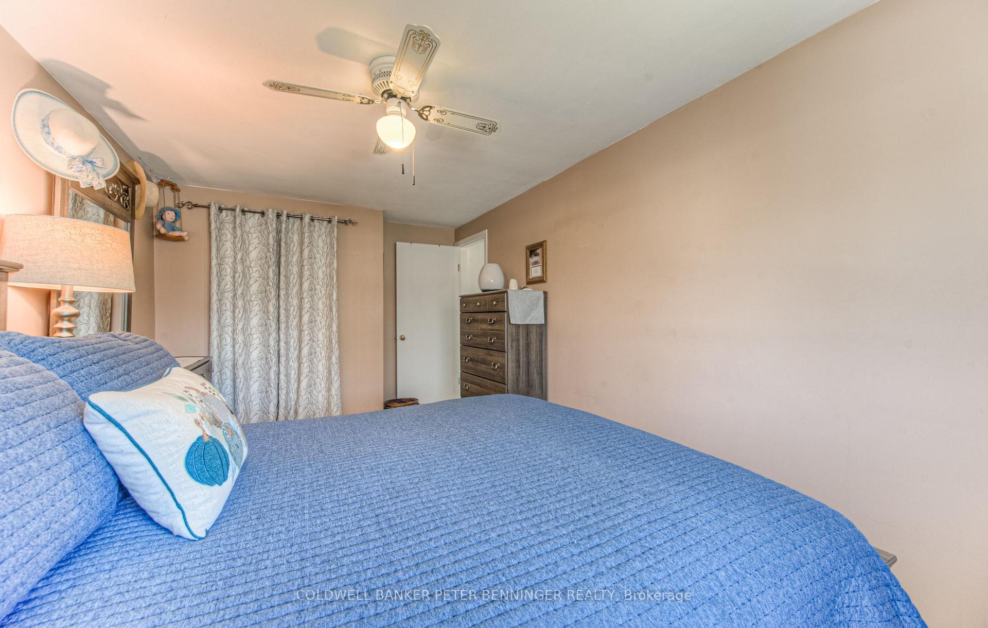 41 Cecile Drive photo 17