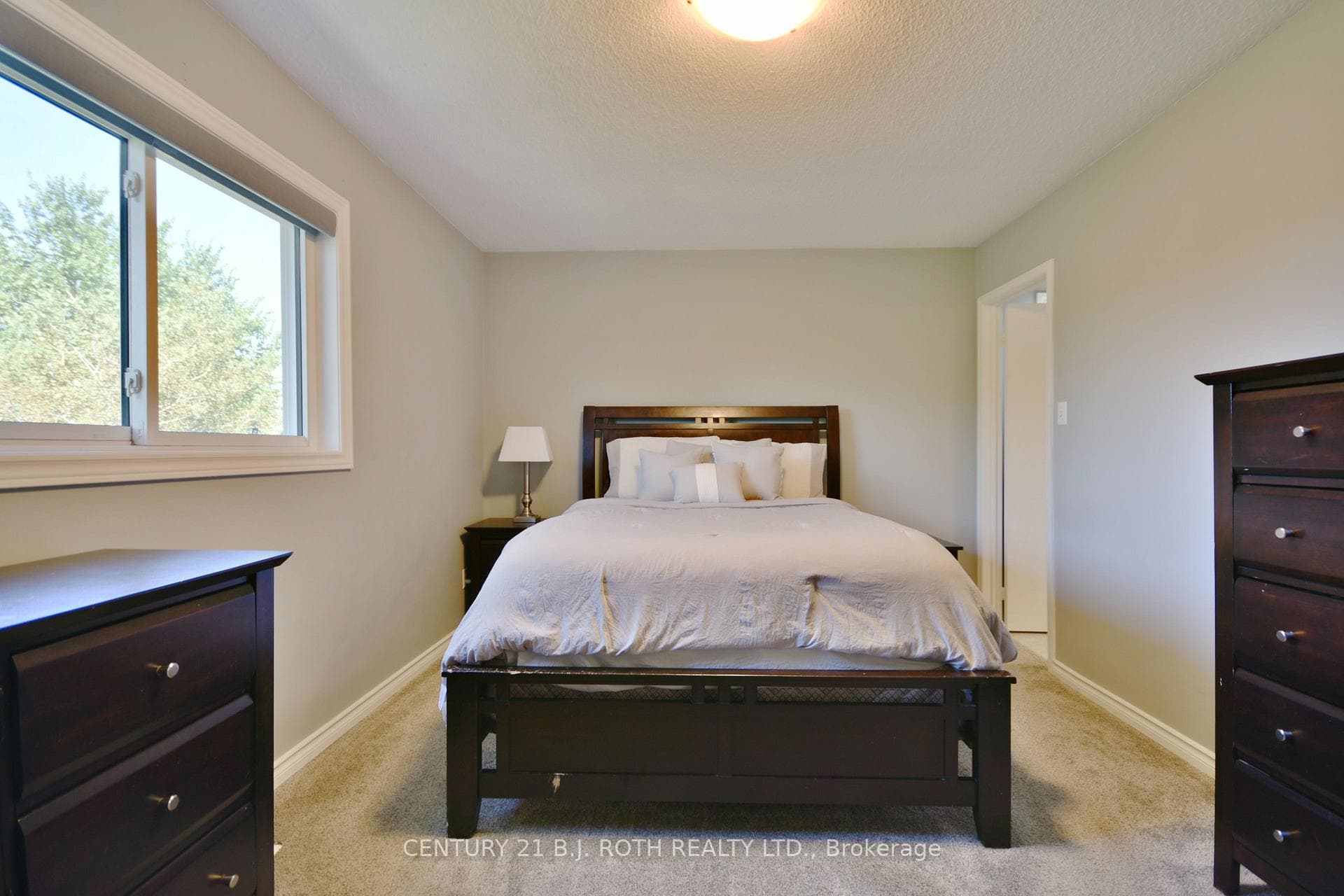 121 Cunningham Drive photo 11