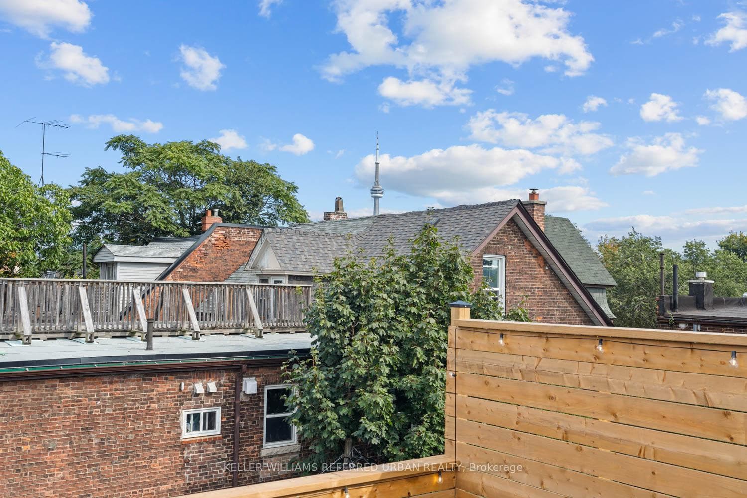9 Beatrice Street photo 29